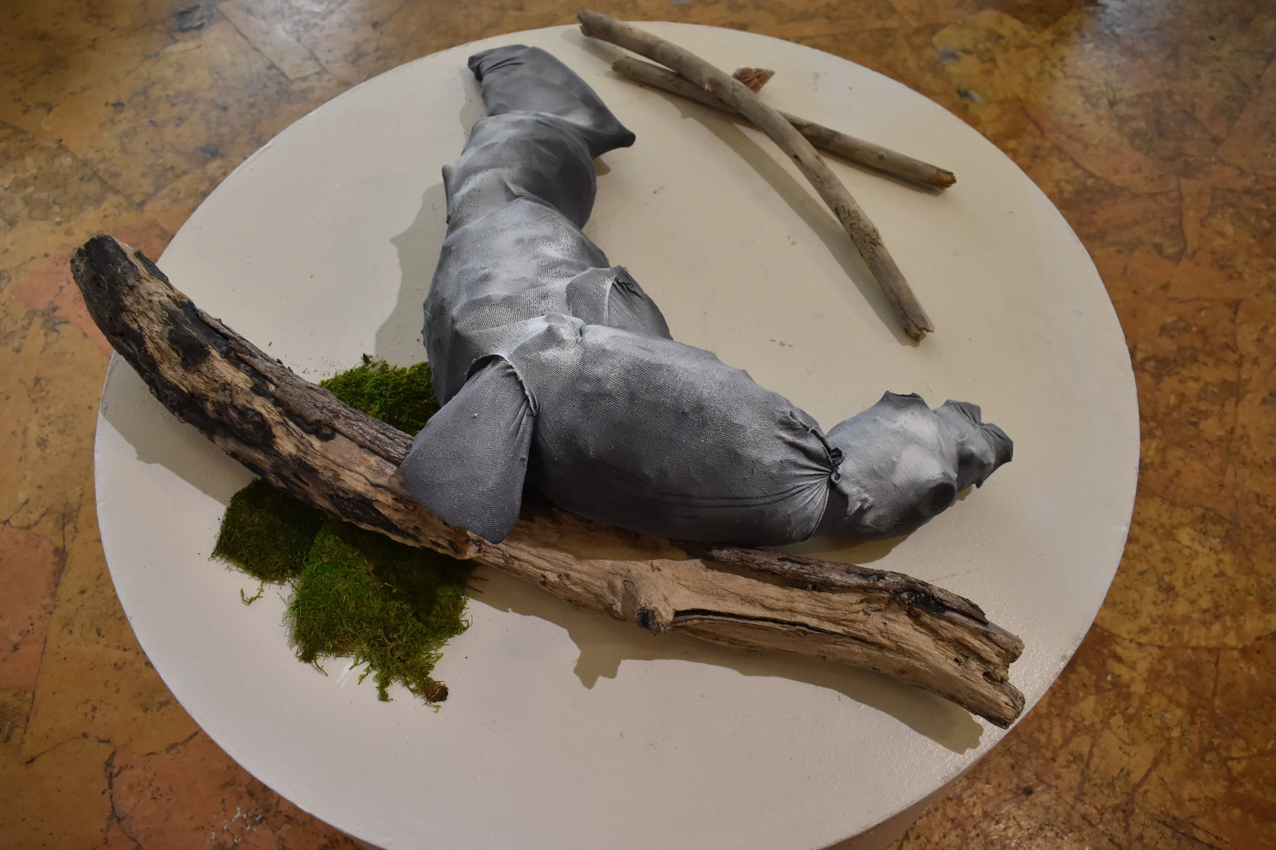  Observing Caribbean 'sea wolves' on the coast of Santo Domingo in 1494, Christopher Columbus promptly ordered his crew to kill eight of the animals for food, paving the way for exploitation of the species through the 20th century, with hunters somet