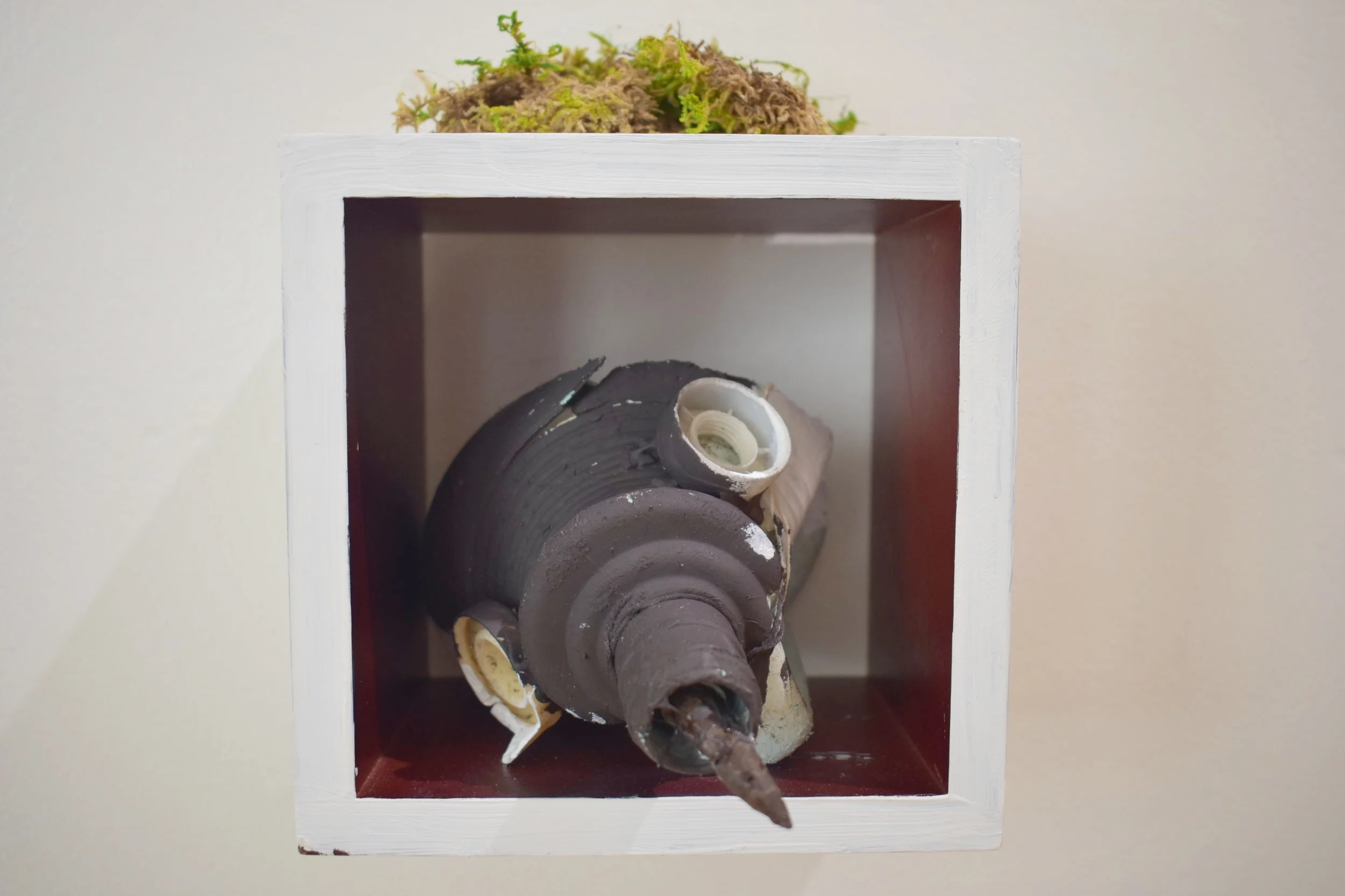  The Mamo was a Hawaiian endemic species of honeycreeper that became extinct due to habitat loss. 