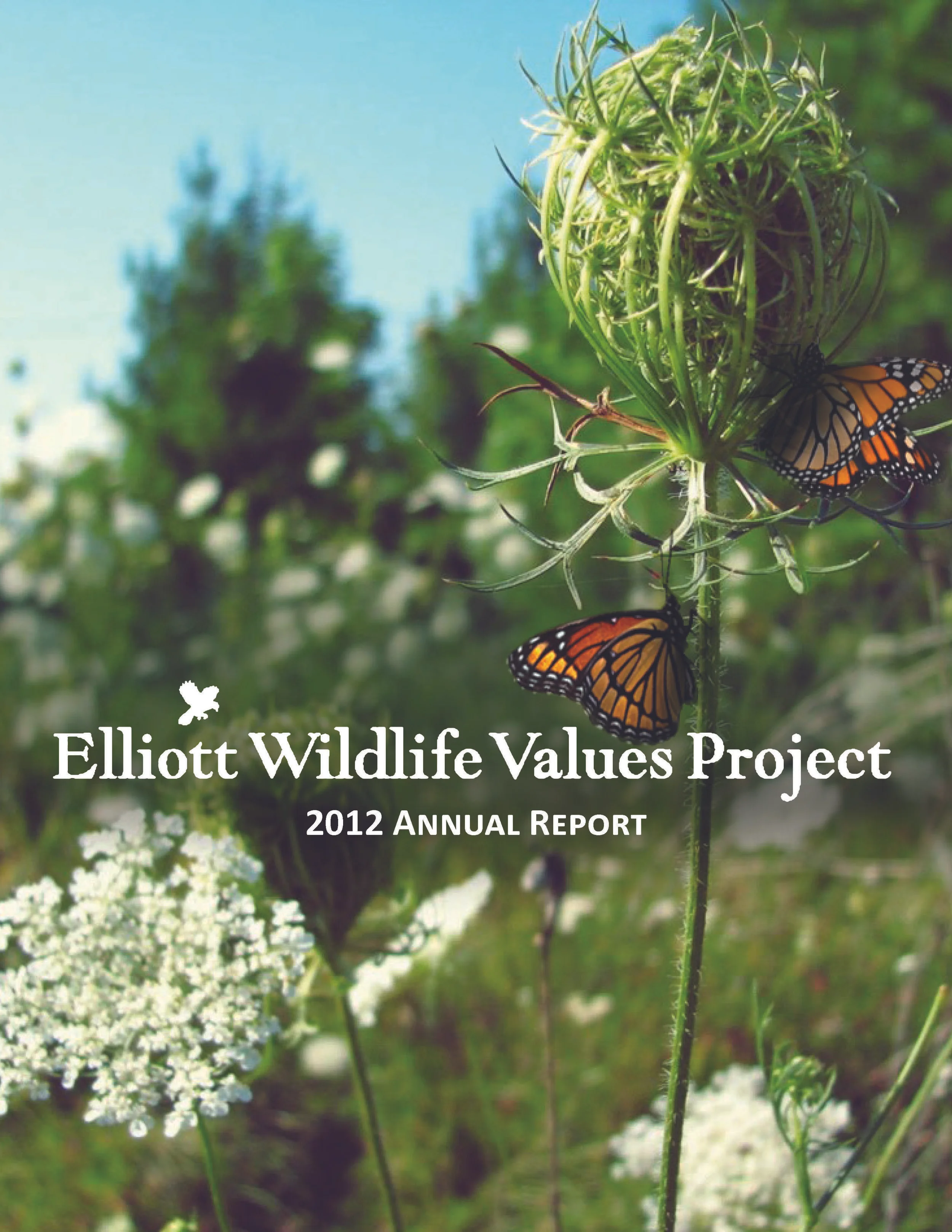 Annual report design