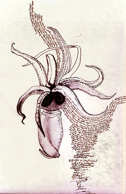 The interweaving of imagination and a living, breathing reality combined into something new: an exploration of the subconscious and the evolution of the line from words into image.