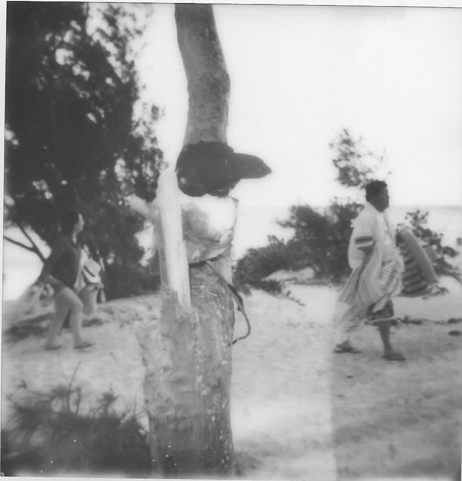 Scan 12.jpeg