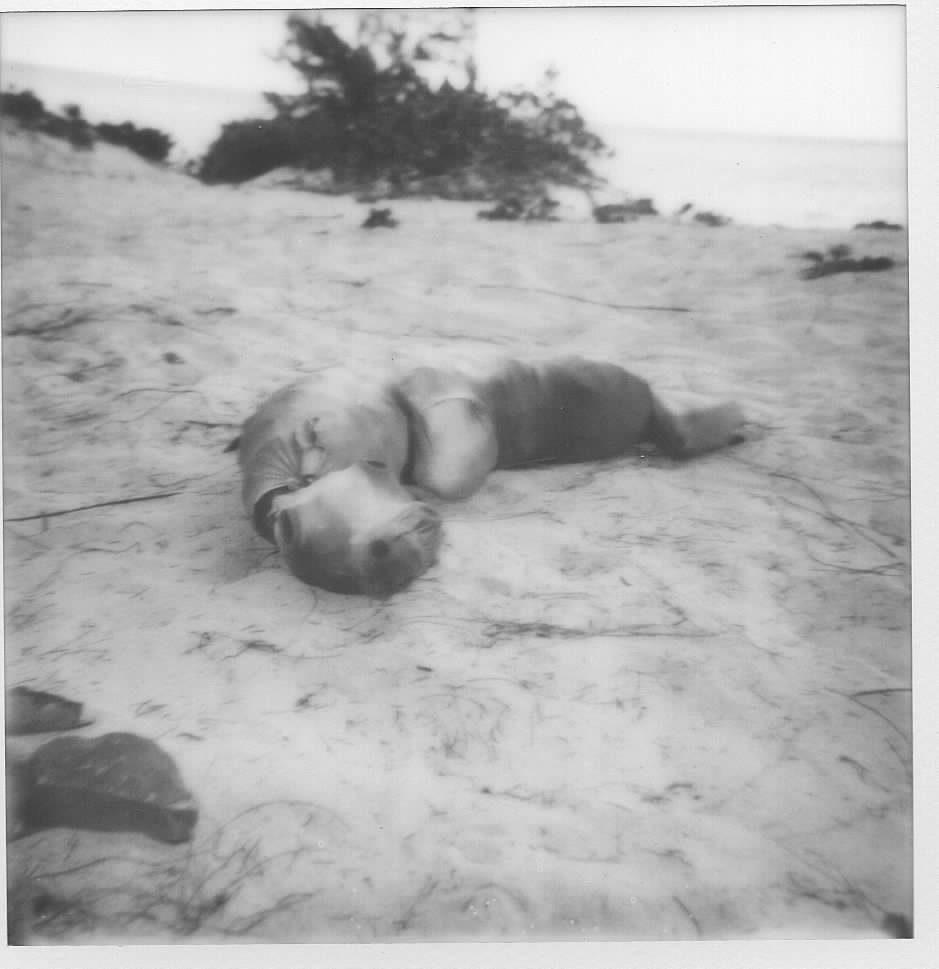 I chose to use polaroid film because each photograph is an original piece and cannot be reproduced.