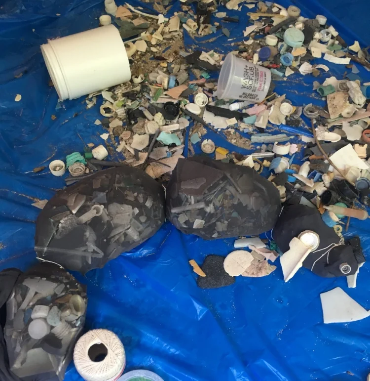 An example of the creation process for the animal sculptures: the animal body stuffing is made entirely of plastic pollution that washes up on Hawaii's beaches. They nylon stockings create "the skin." A literal representation of the plight of animals who's bodies are stuffed full of plastic.