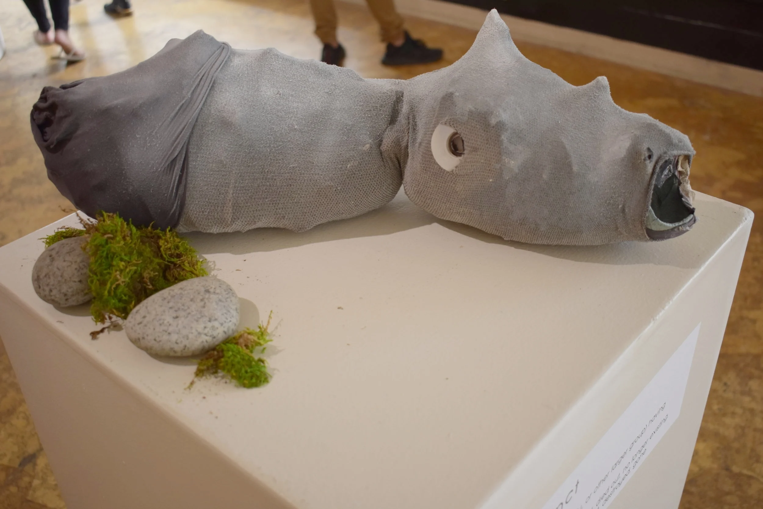  A victim of rampant poaching, despite protections, scientists searched for any signs of the rhino's existence in 2006 and came up empty. 