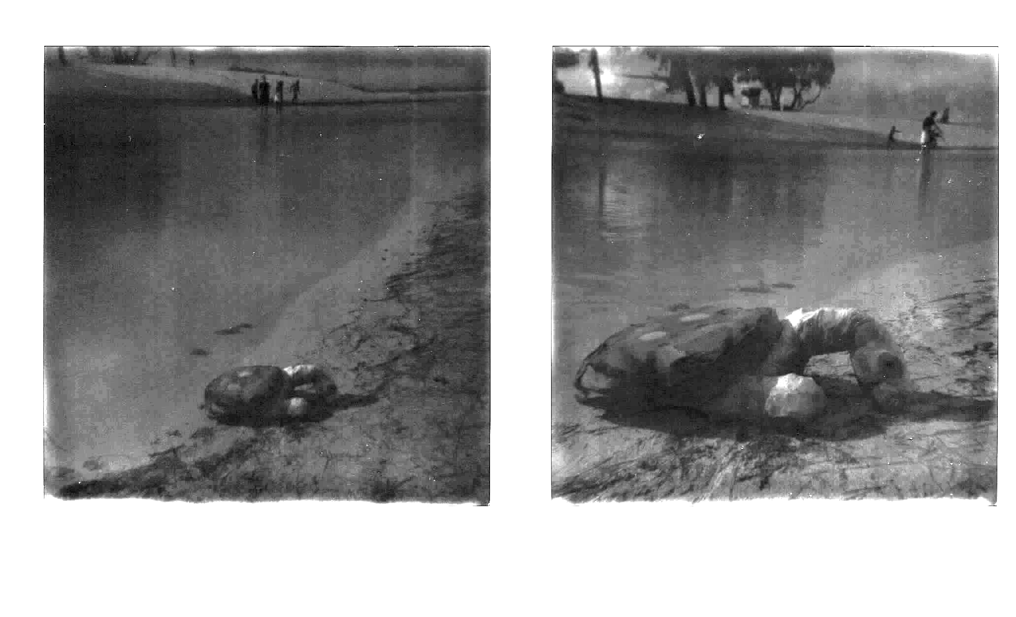 Polaroid fixes.jpg