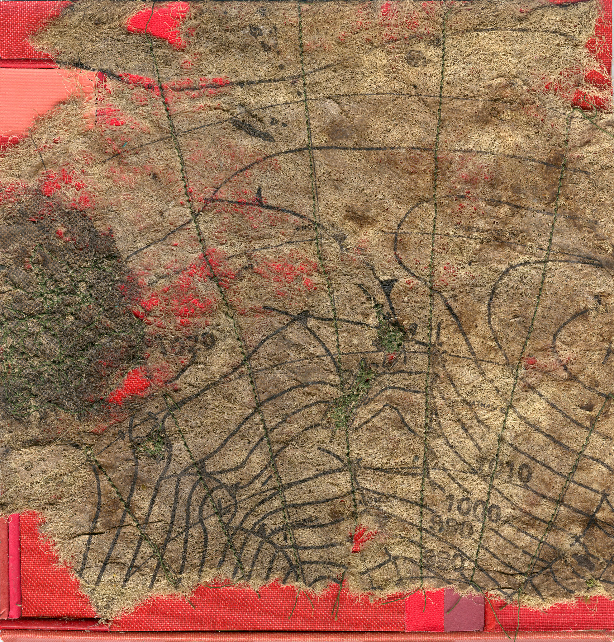 algae_ 990 .jpg