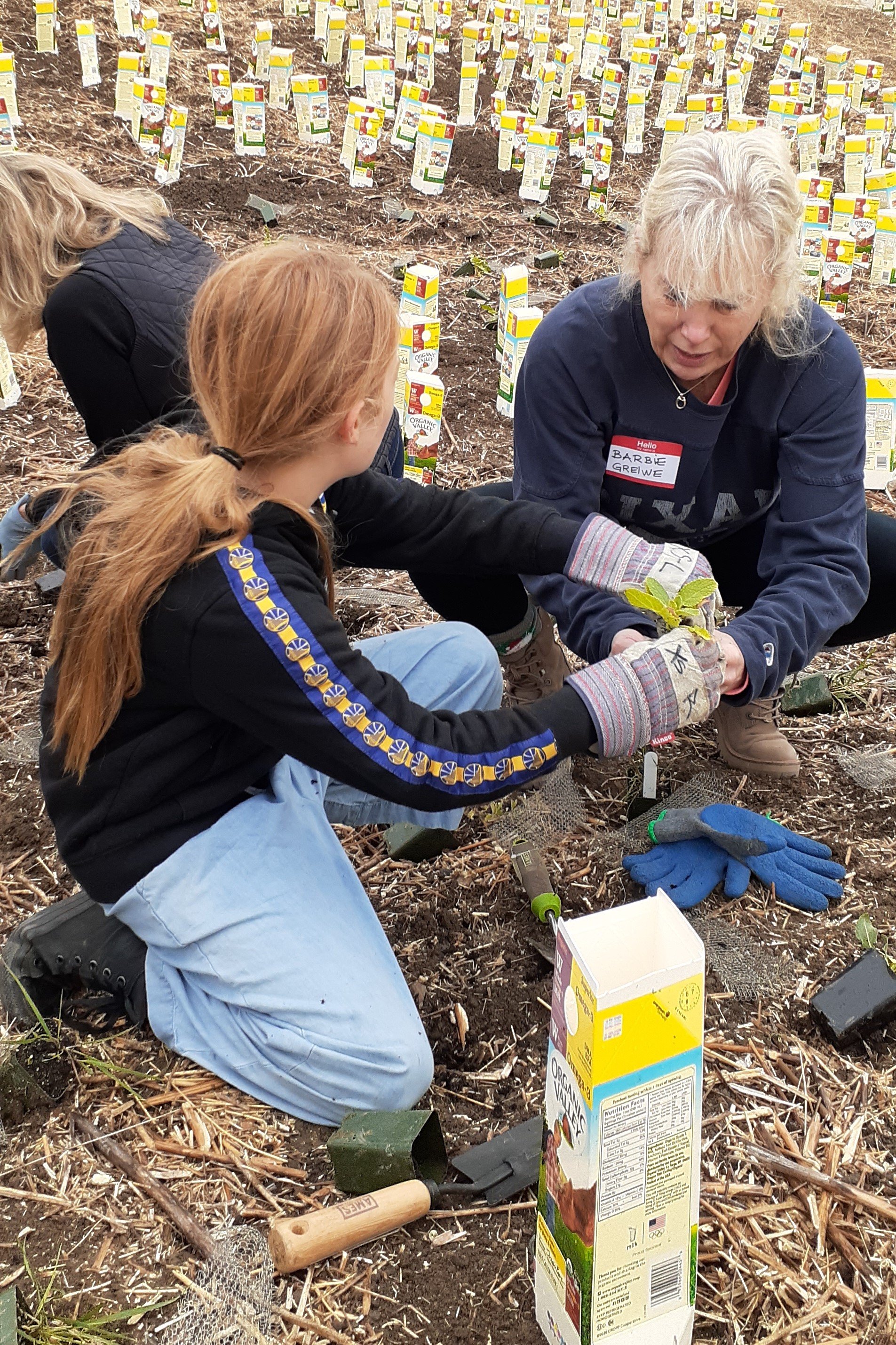 volunteers planting square.jpg