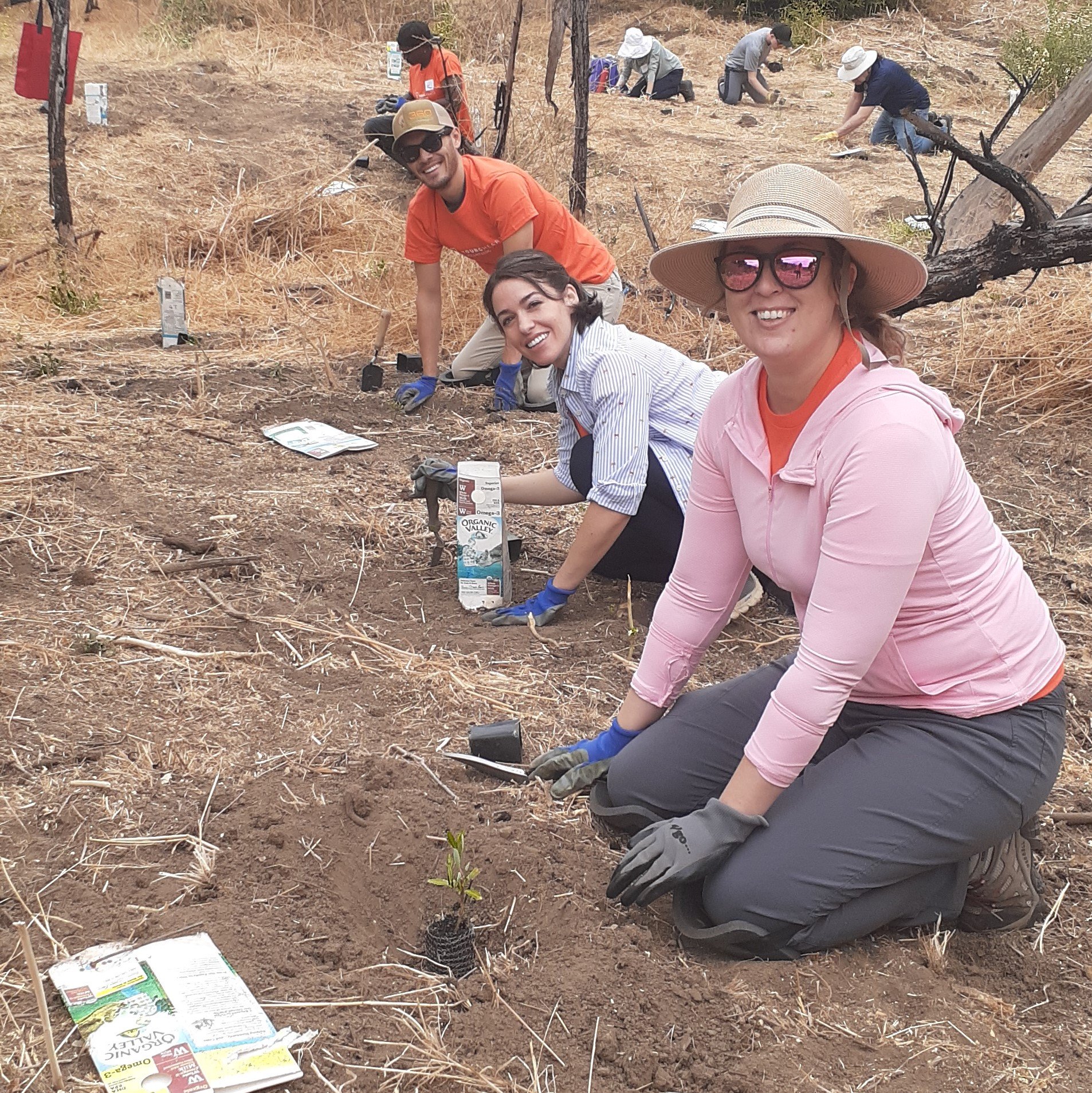 Volunteers plant trees 2.jpg