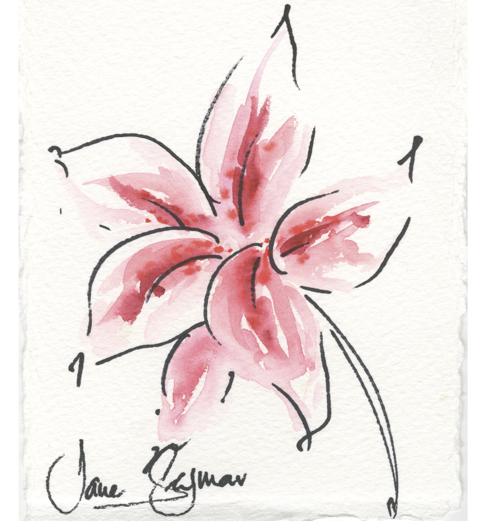 Silent Auction Jubilee #3 The Art of Jane Seymour: A Lily From My Garden XV (Framed) 

Bring Home A Bloom of Beauty 
From the celebrated Garden Series by Jane Seymour, this exquisite Stargazer artwork captures the quiet wonder of nature’s elegance. A