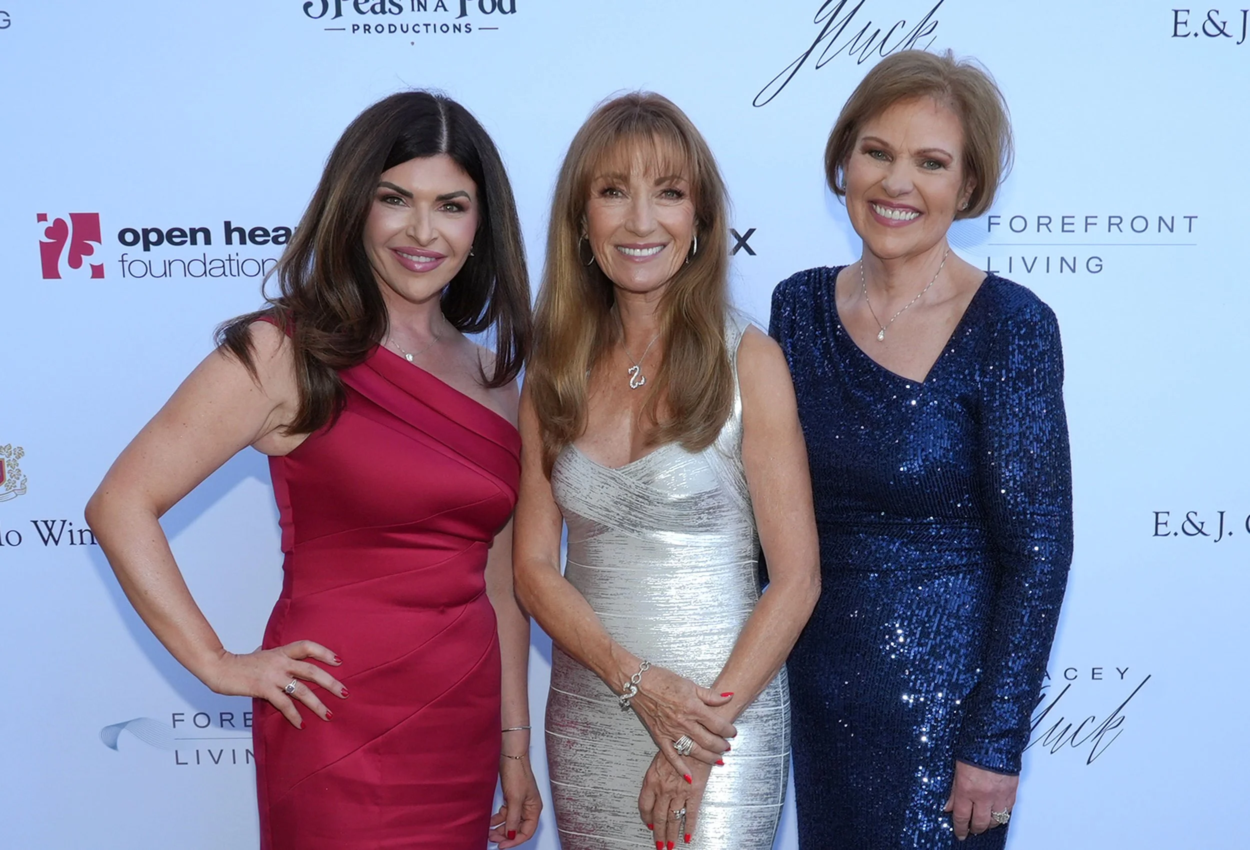 04.18.26 Open Hearts Gala_272.jpg