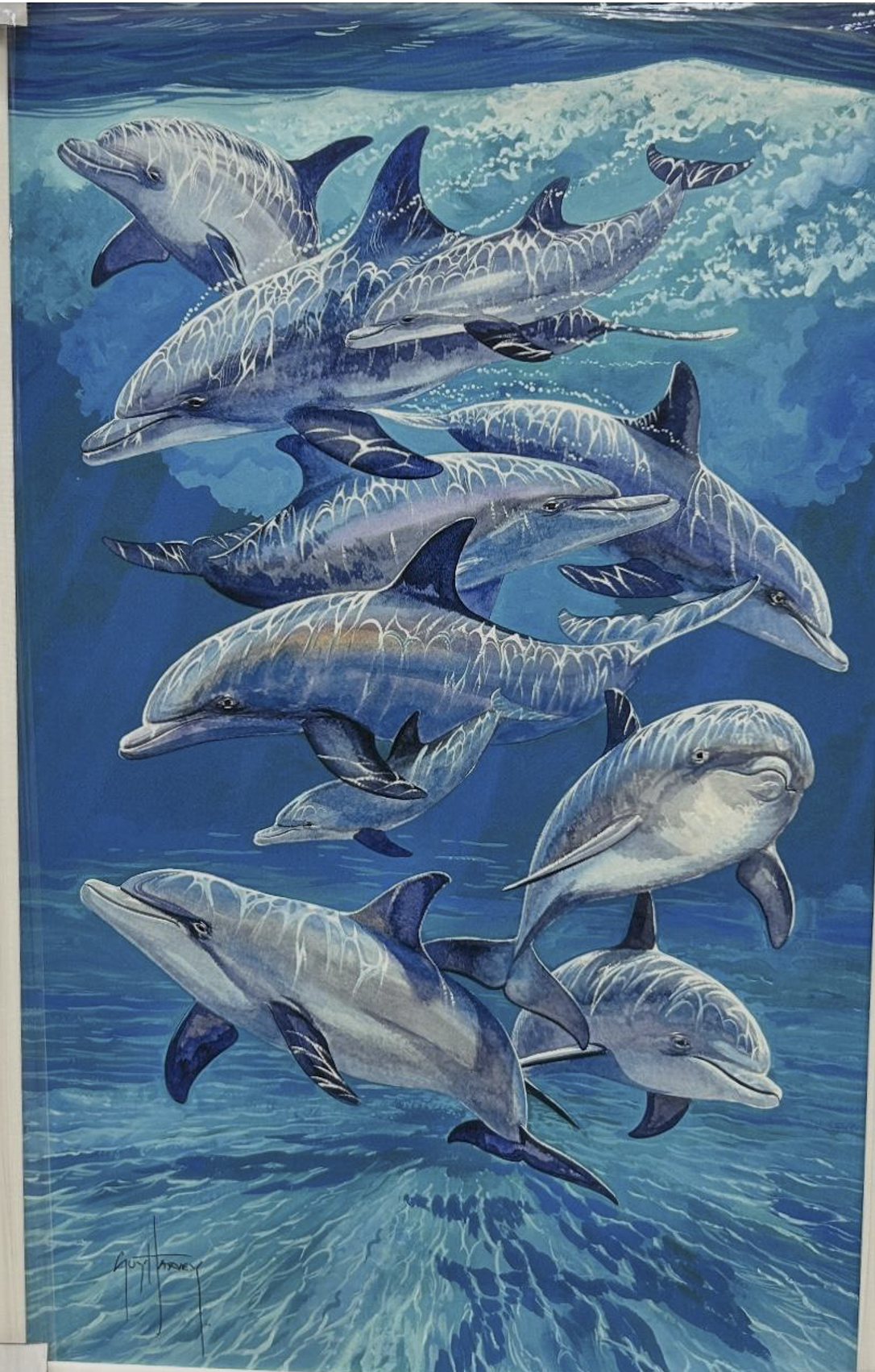 Silent Auction Jubilee #8 Dolphin by Guy Harvey
The spirit of the sea with this stunning limited-edition canvas by renowned marine artist Guy Harvey. Featuring a graceful pod of bottlenose dolphins gliding through luminous blue waters, this signed pi