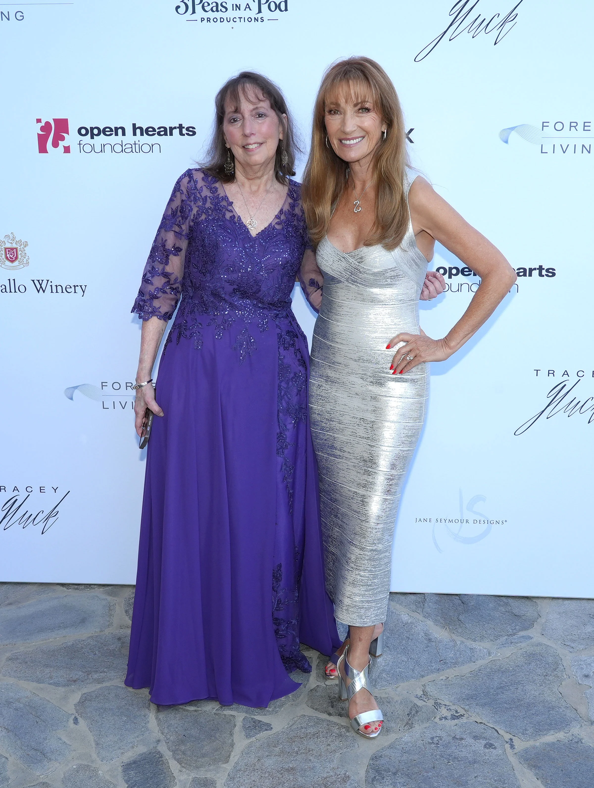 04.18.26 Open Hearts Gala_287.jpg