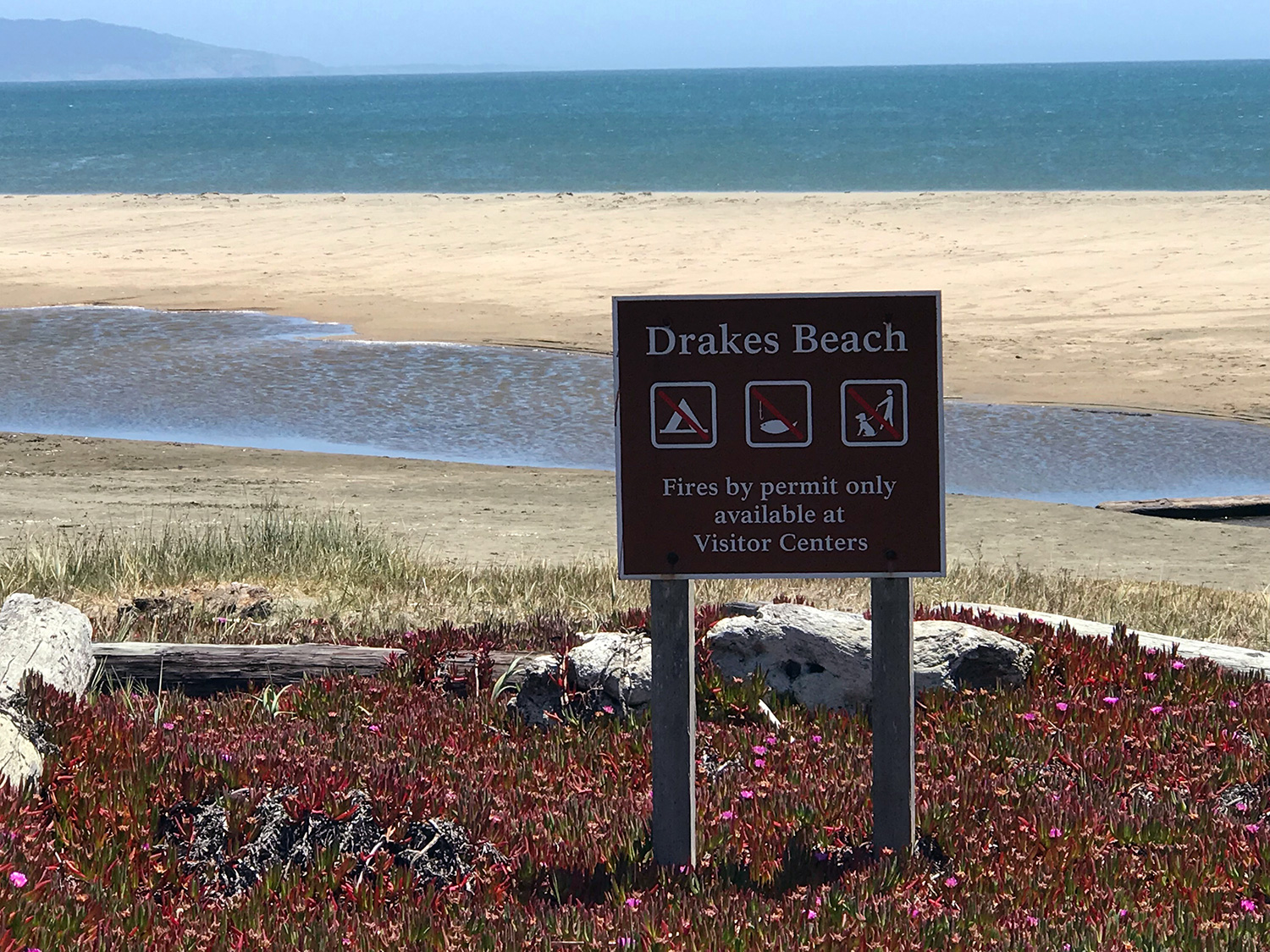 drakesbeachIMG_0345.jpg