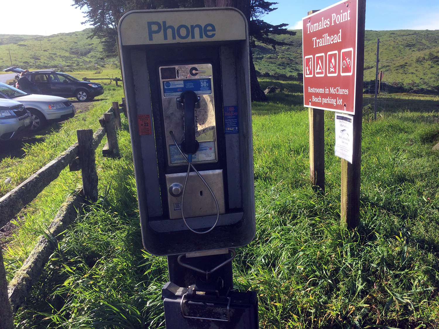 a rare pay telephone