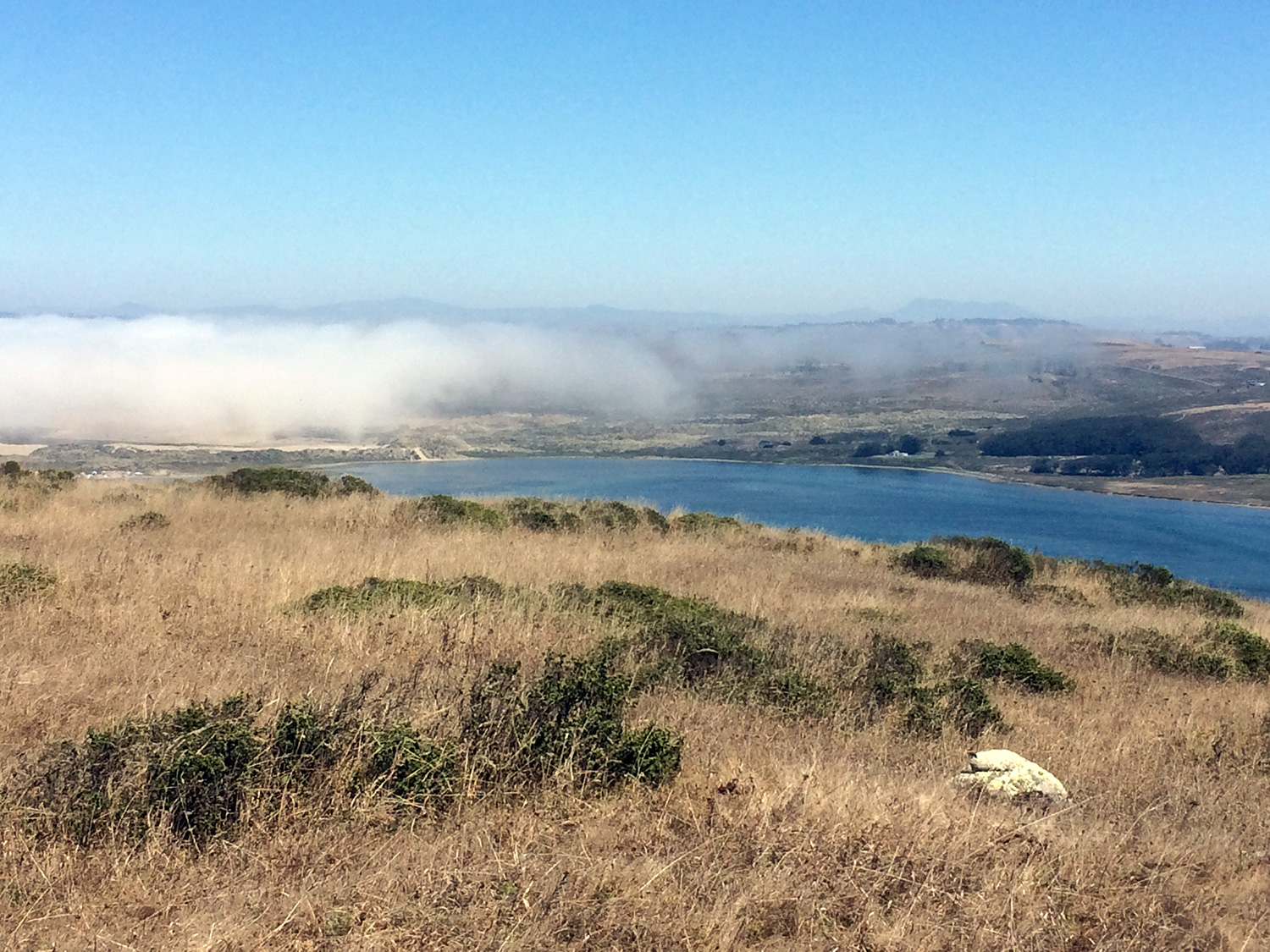 view to Tomales Bay