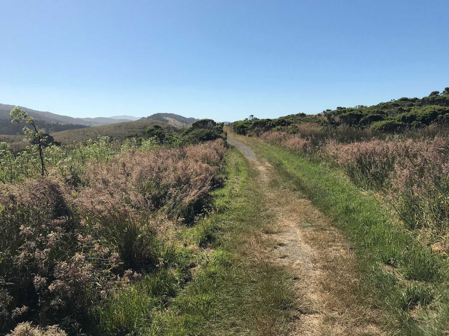 Estero Trail