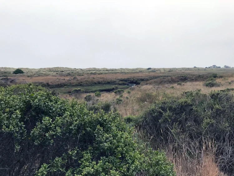 Limantour Rd Point Reyes Limantour Beach — Point Reyes Nature