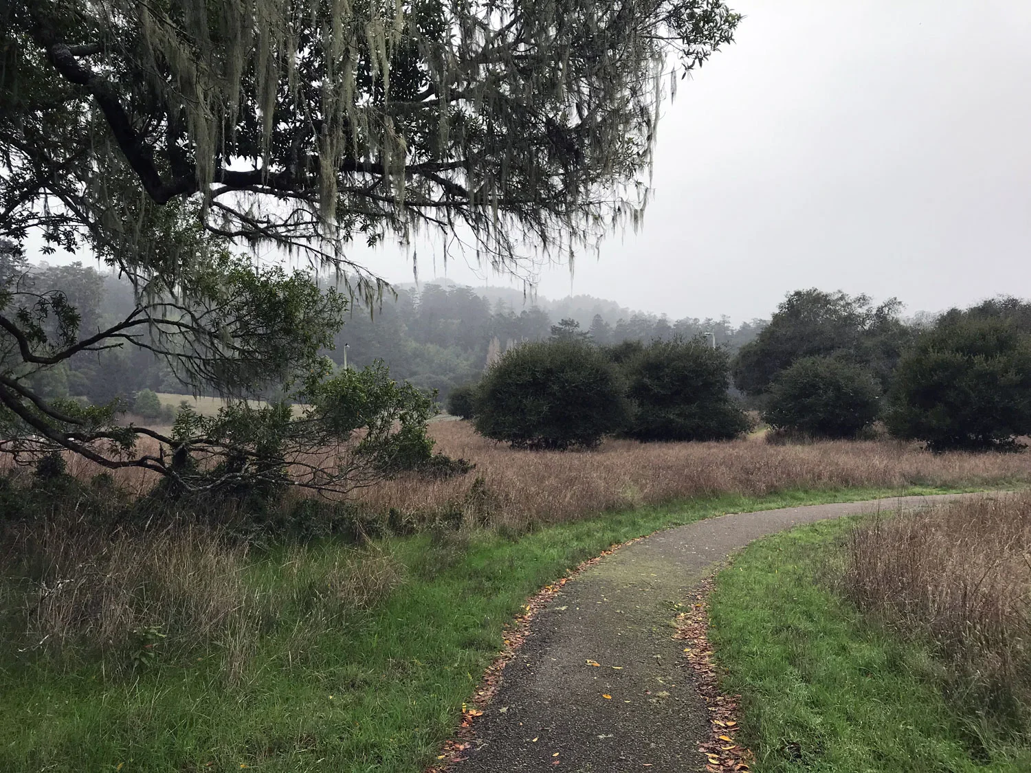Point Reyes Earthquake Earthquake Trail — Point Reyes Nature