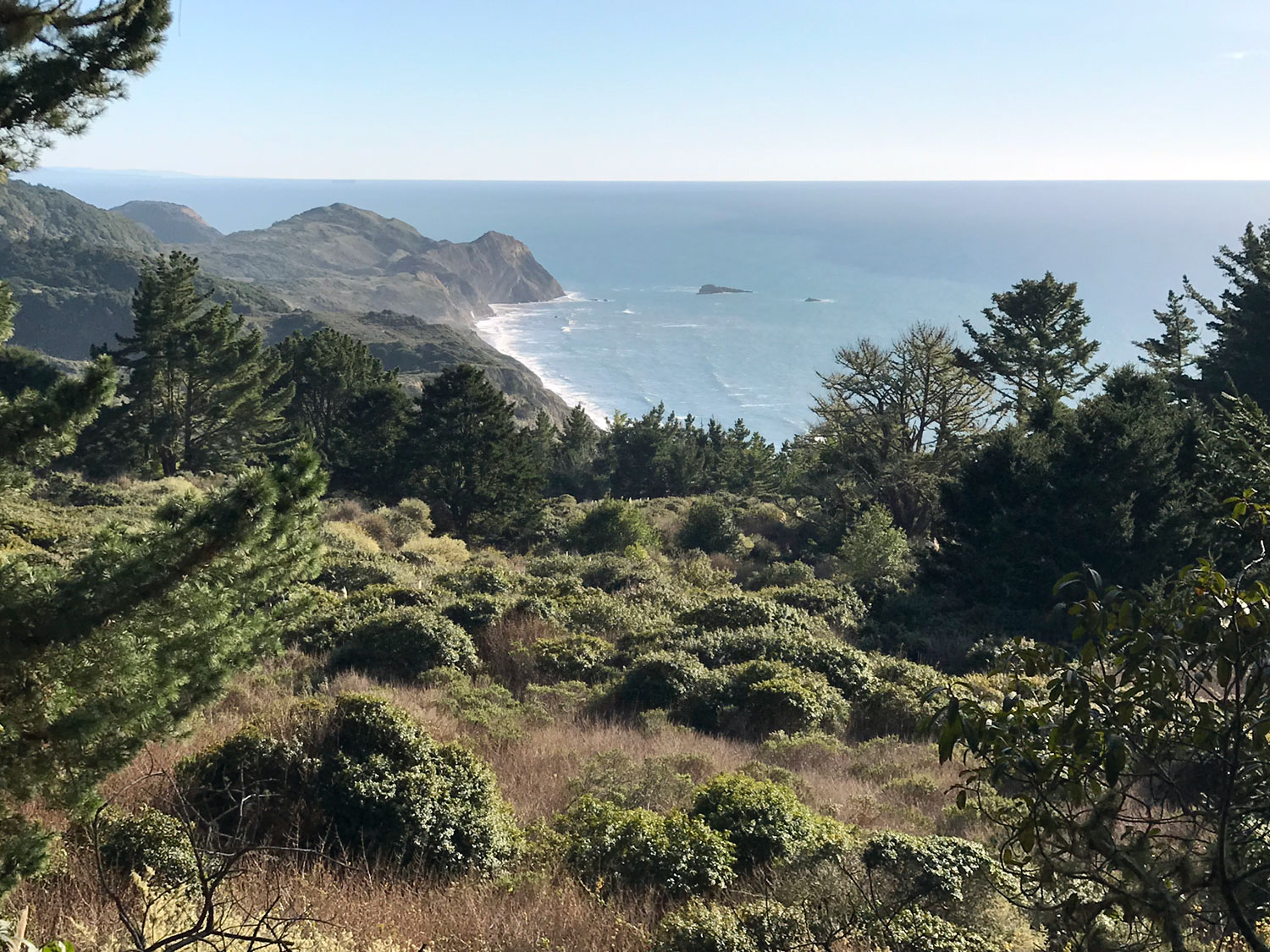 Coast Trail