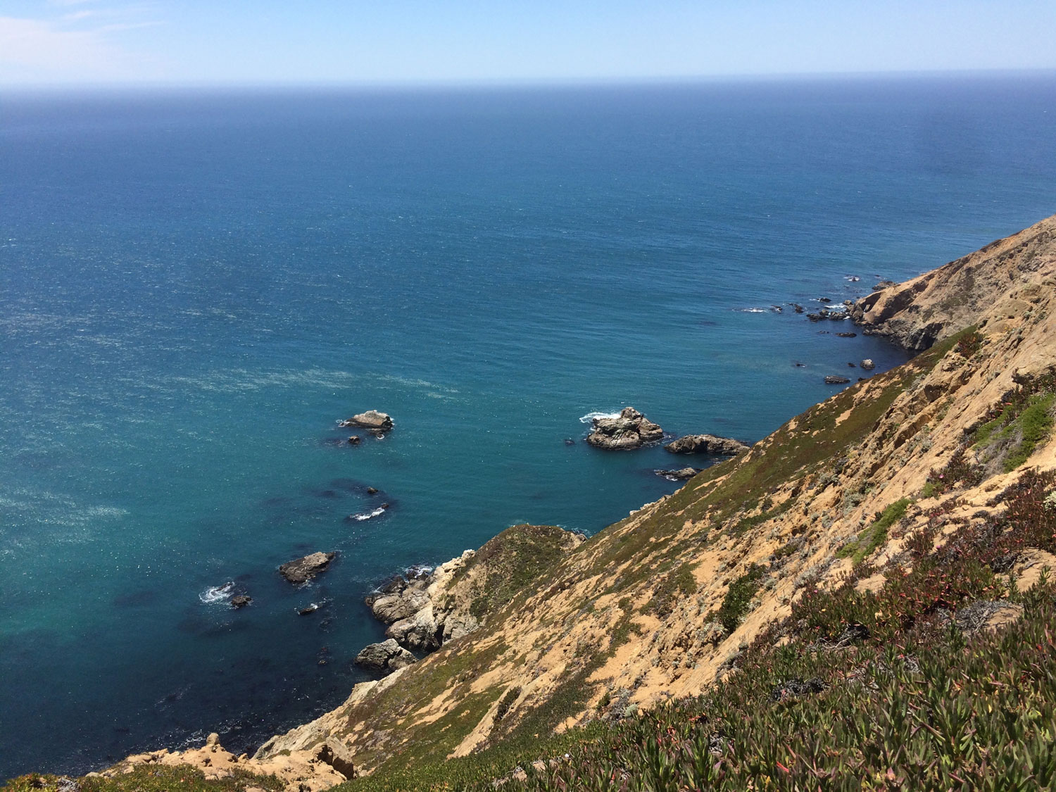 Sea Lion Overlook and Lighthouse