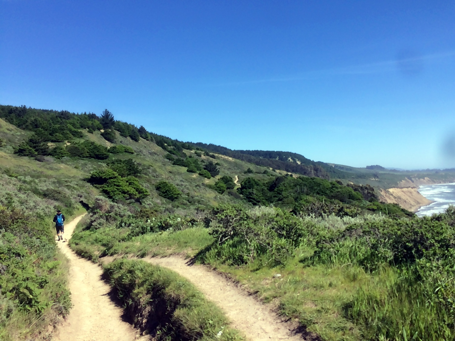 Palomarin Coast Trail