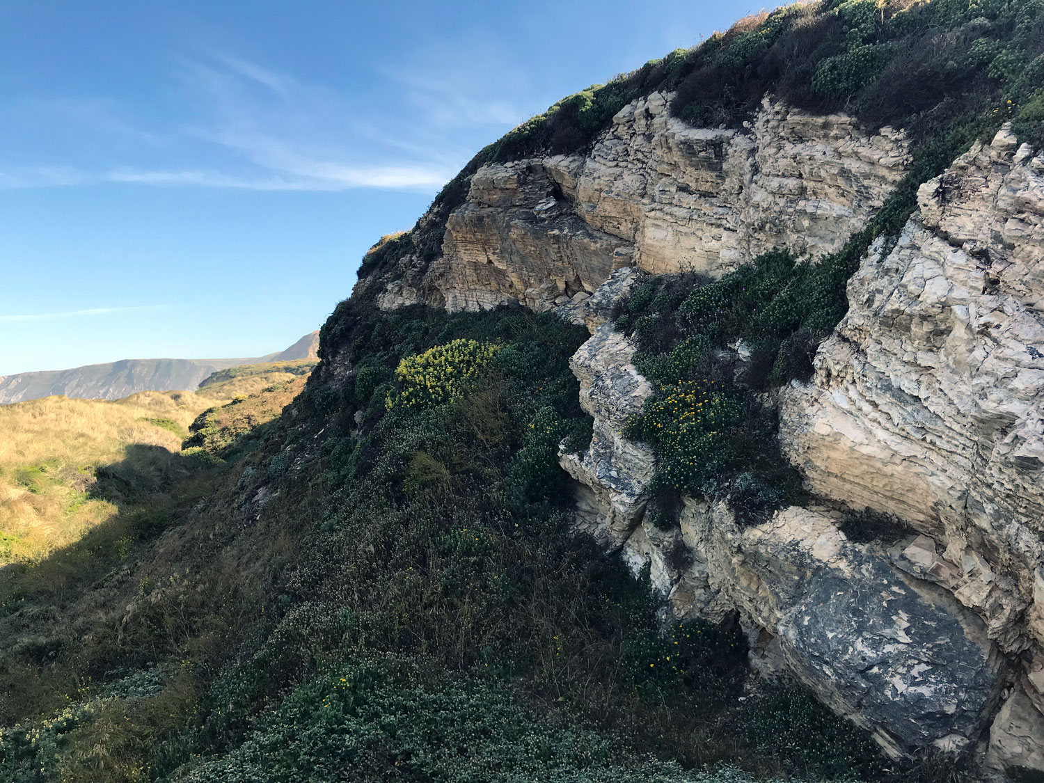 Monterey Formation