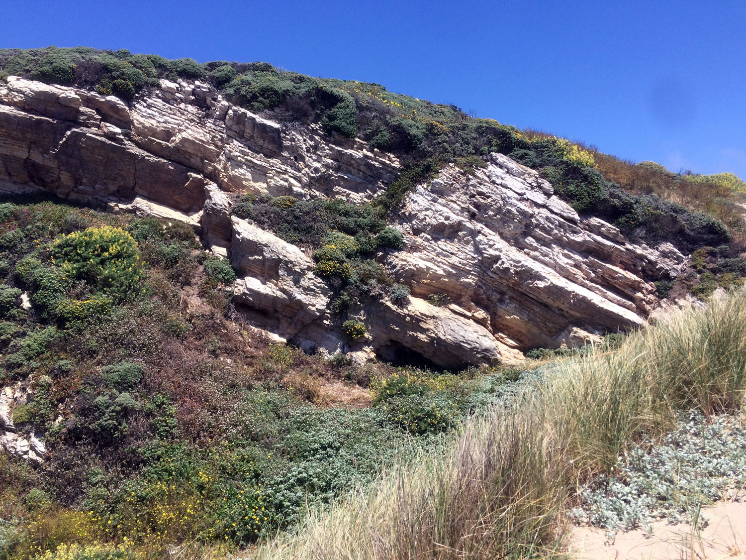 Monterey Formation