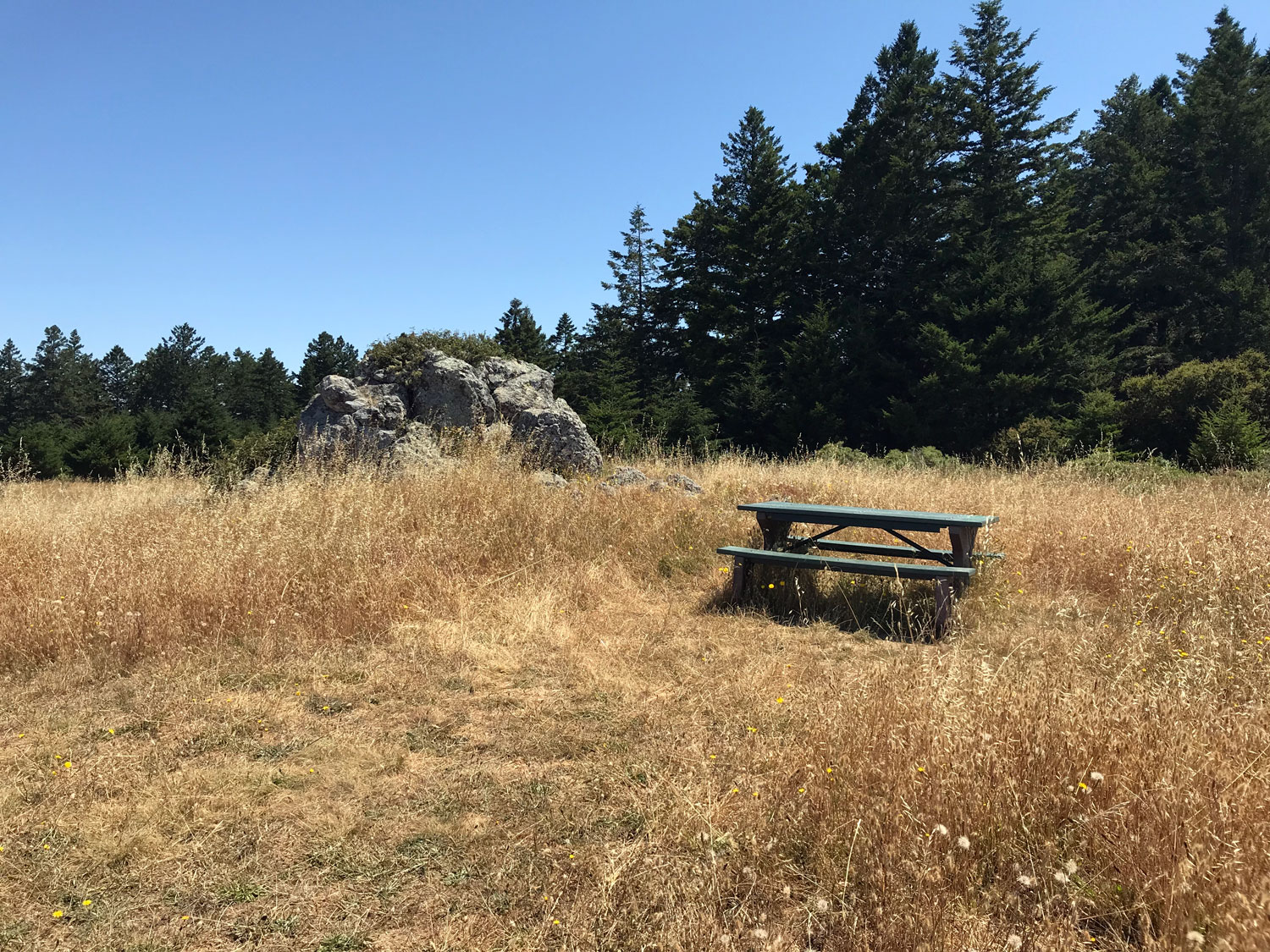 second picnic table