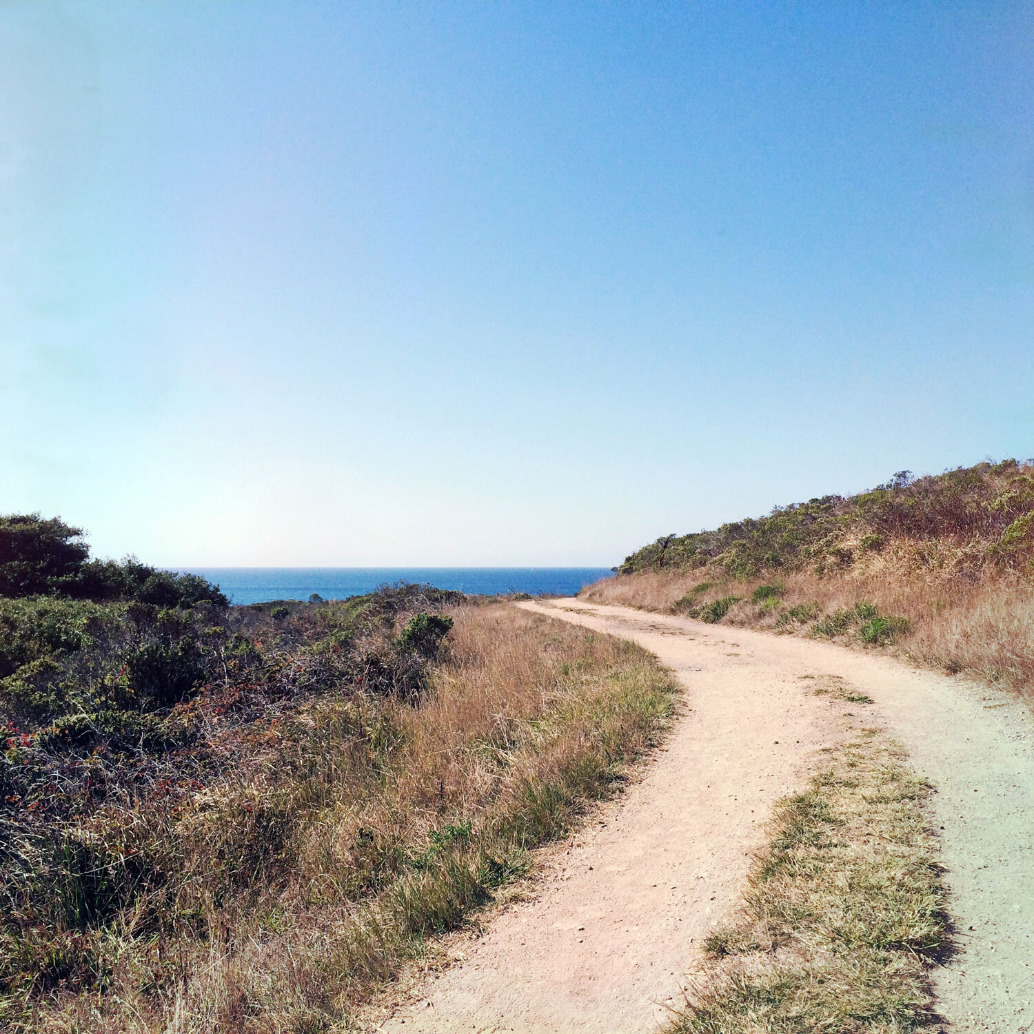 Laguna-Fire-Coast Loop