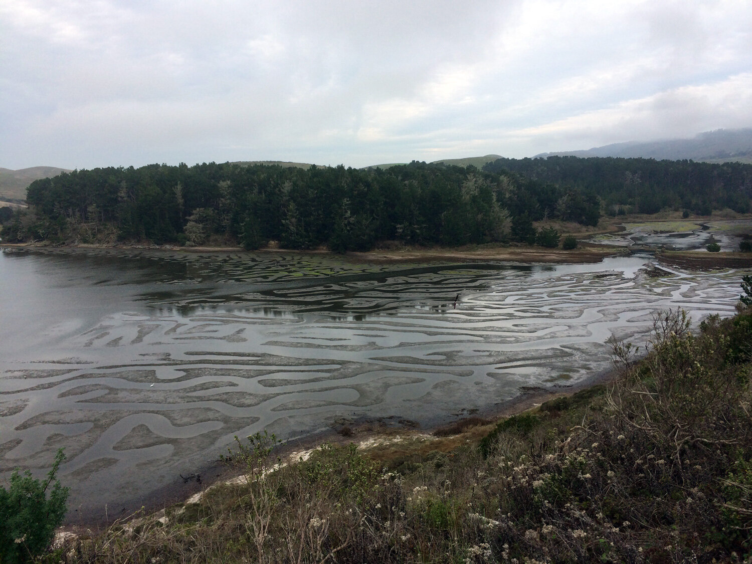 Estero Trail