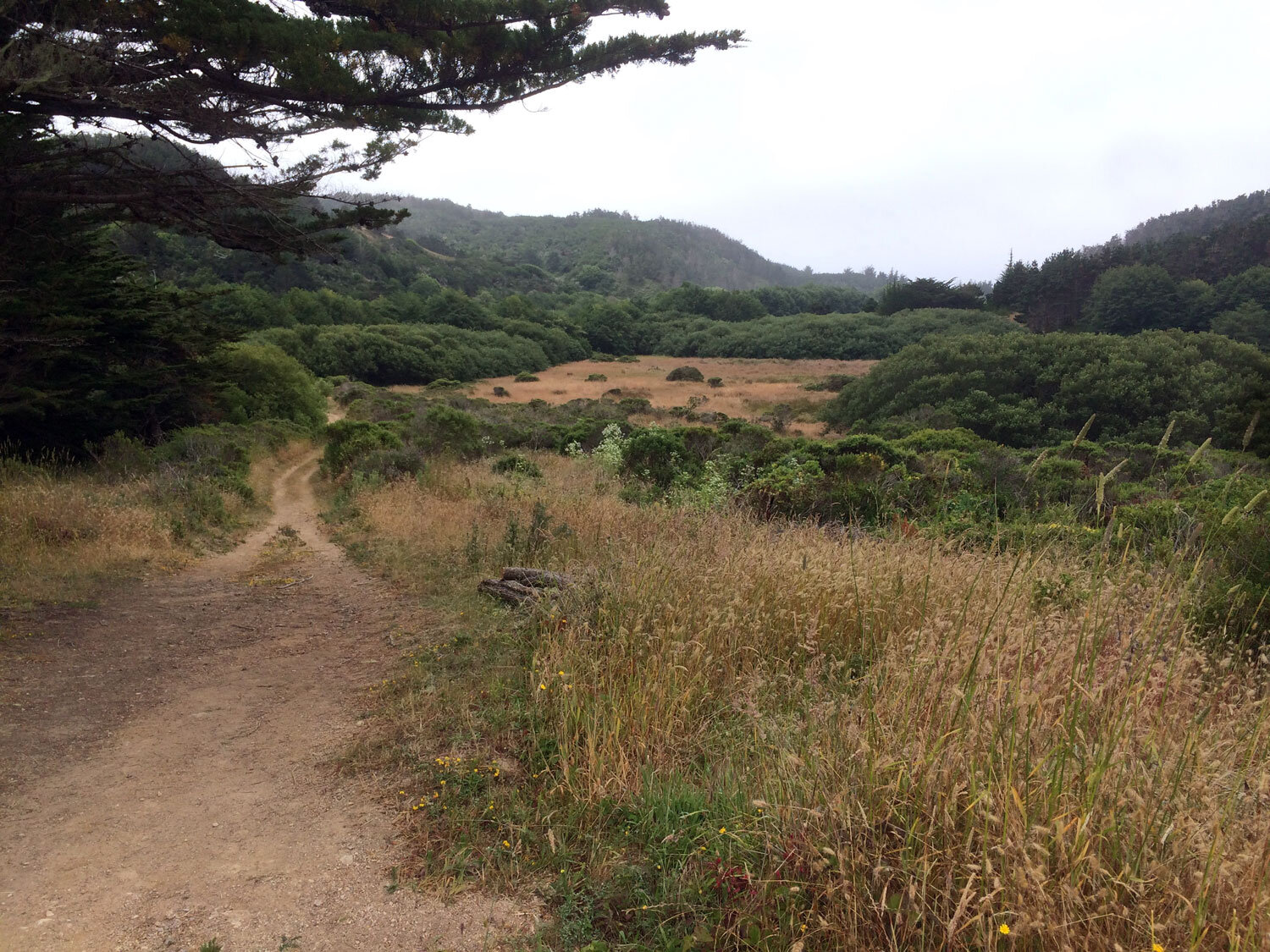 Muddy Hollow Road Trail