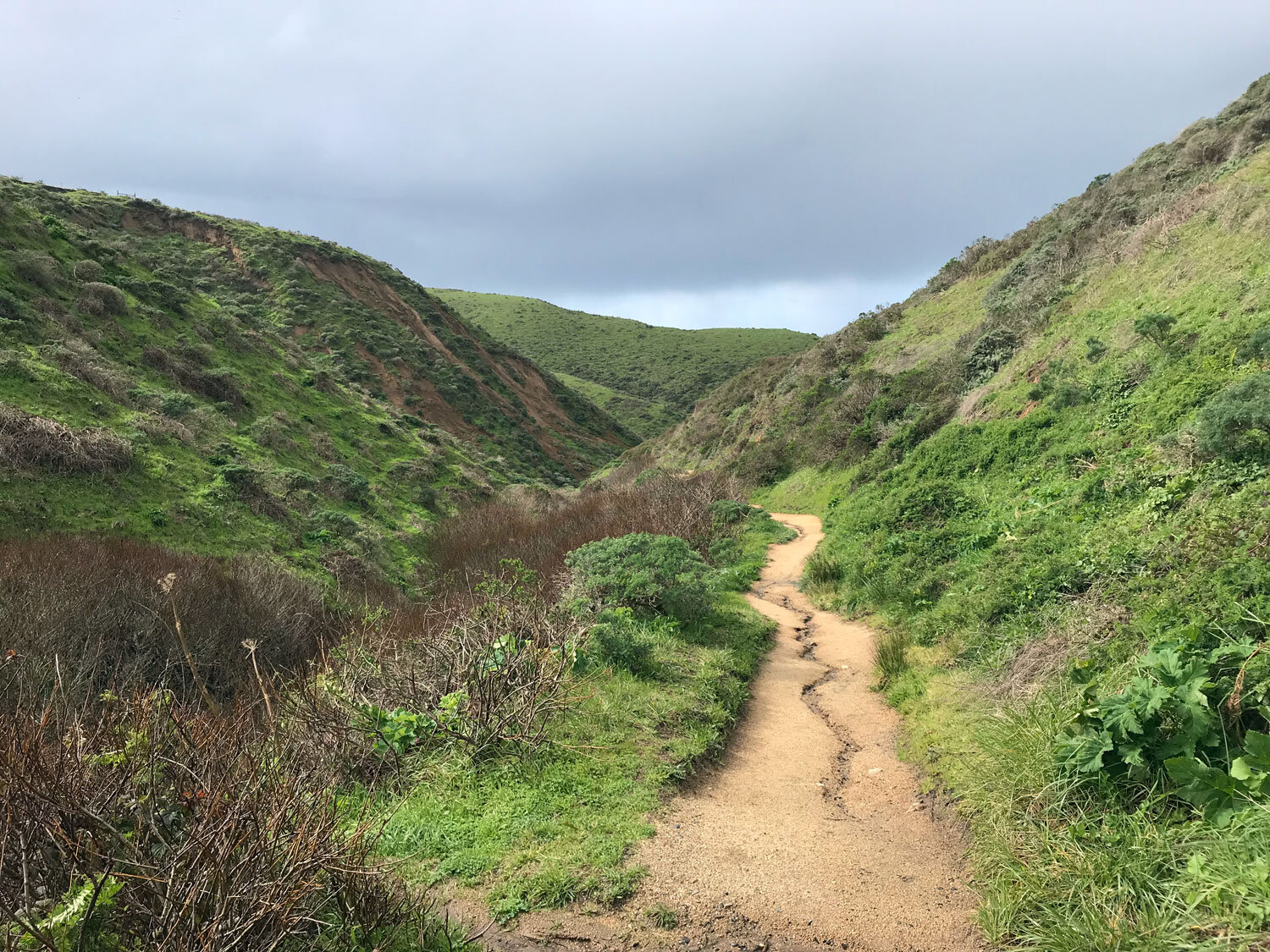 McClures Beach Trail