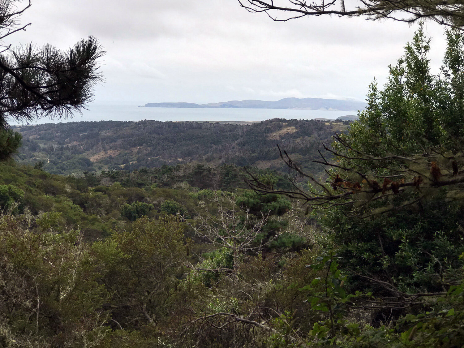 View toward Drakes Beach