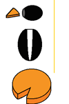 dec2005_penguindiagram.gif