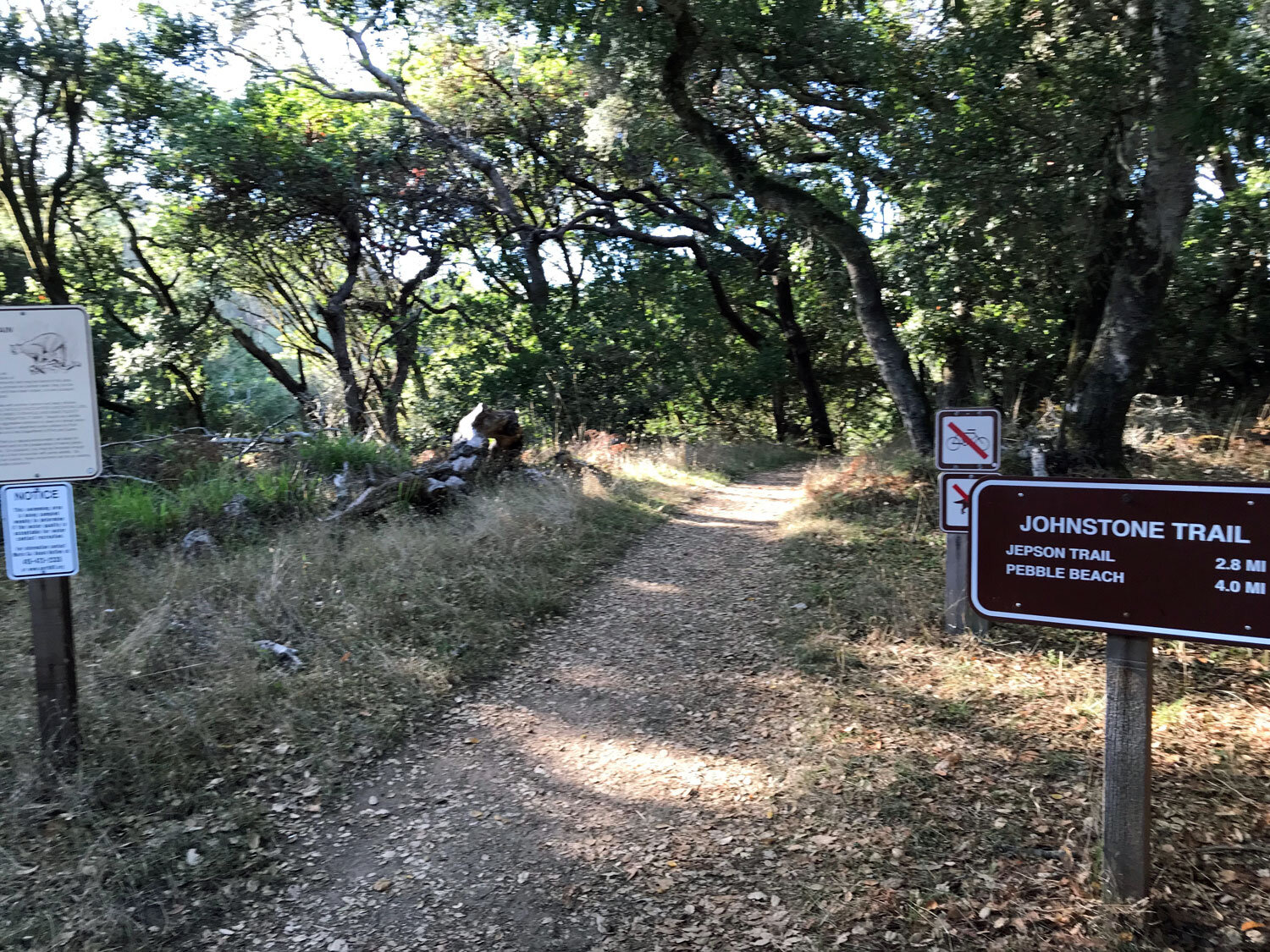 trailhead to Shell Beach at Camino Del Mar