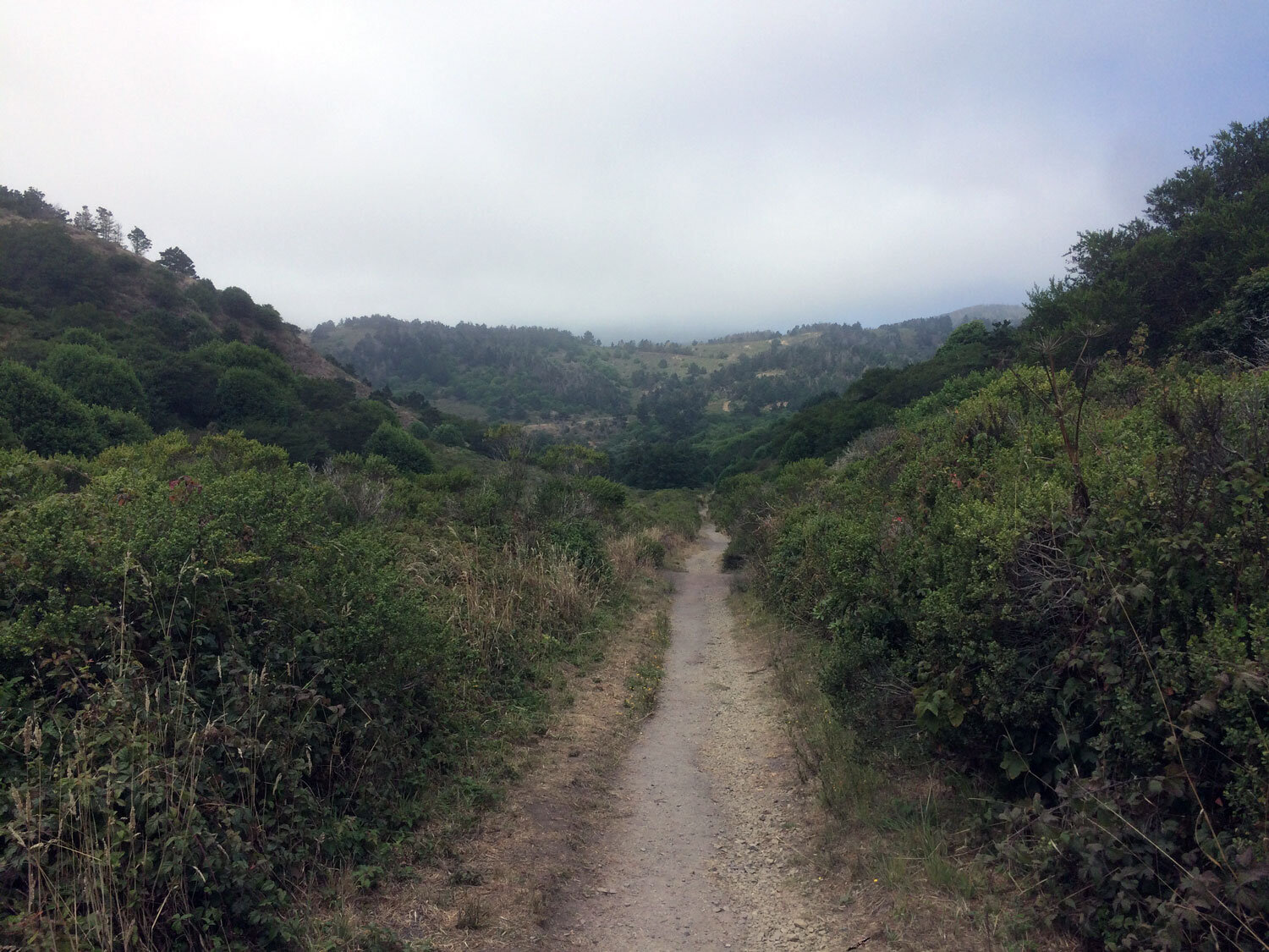 Laguna Trail