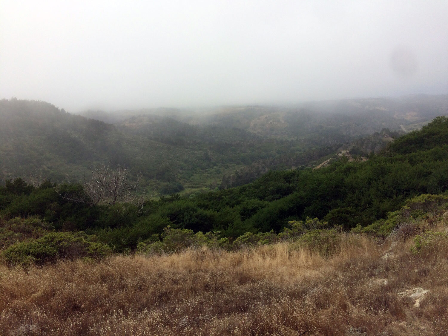 Fire Lane Trail