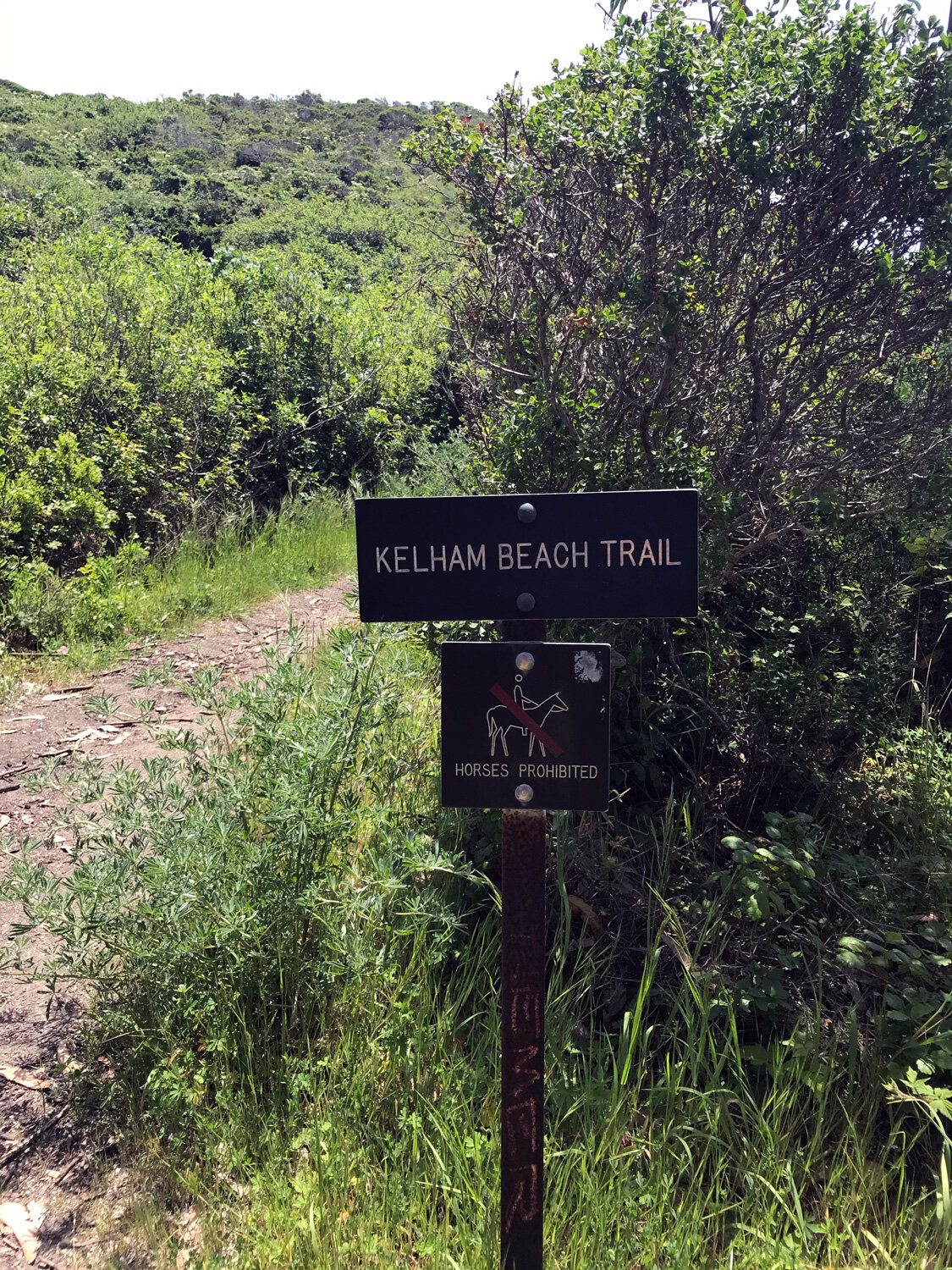 trail marker is not easy to spot from the Coast Trail