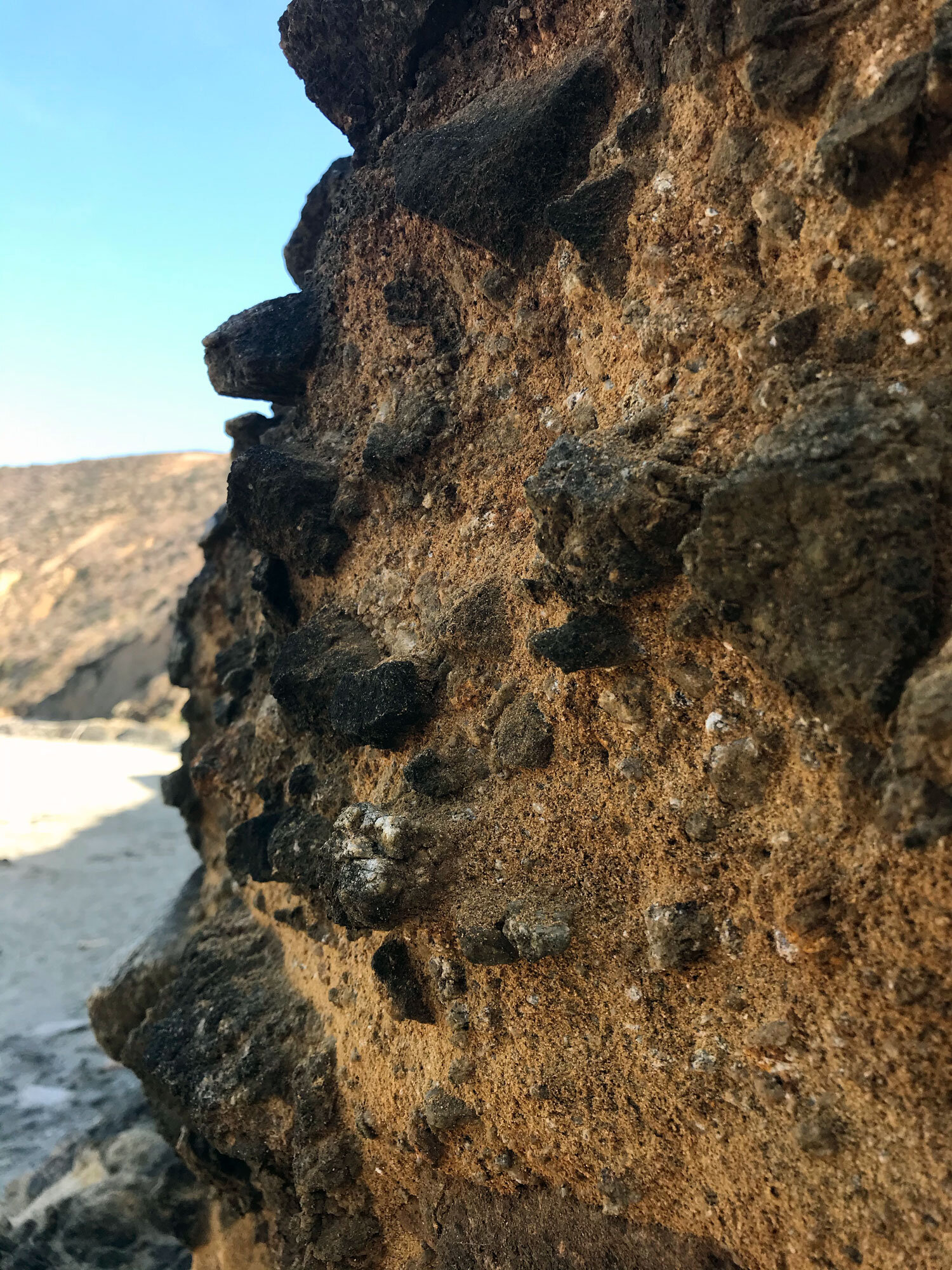 Point Reyes conglomerate, 50 million years old
