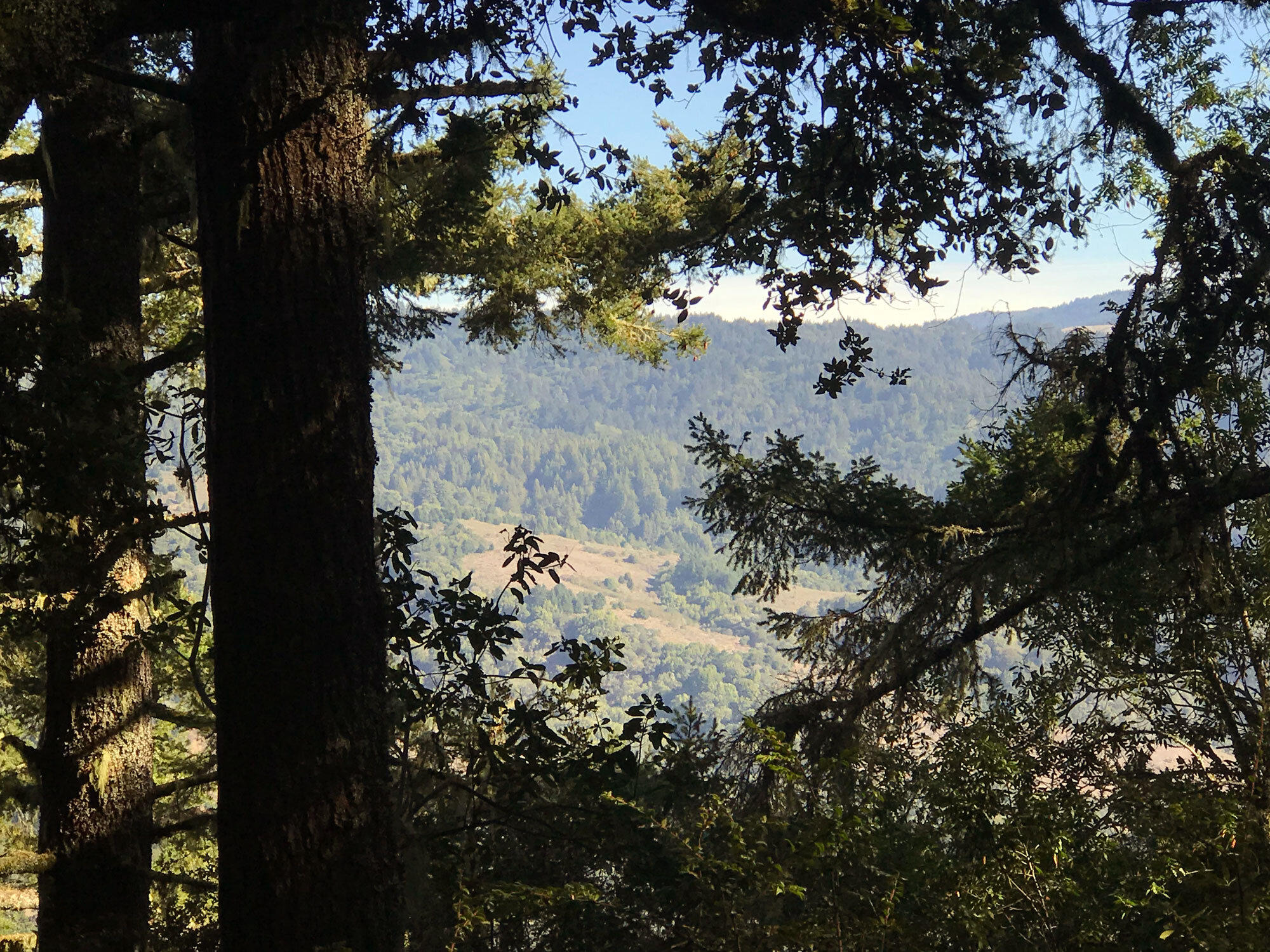 view east toward Bolinas ridge