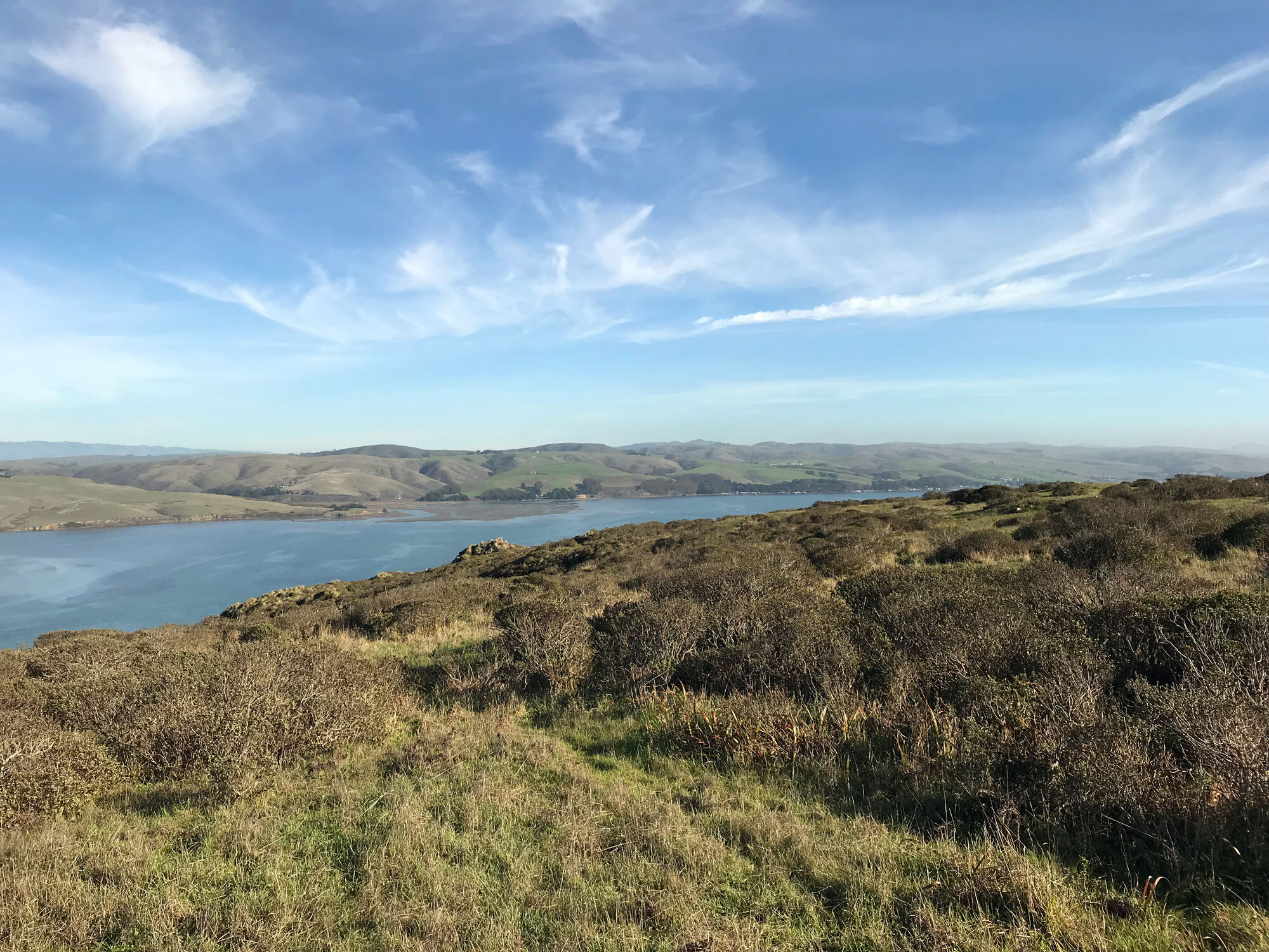 view of Tomales Bay