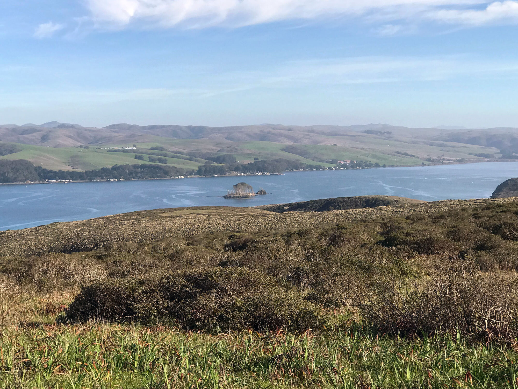 view of Tomales Bay with Hog Island