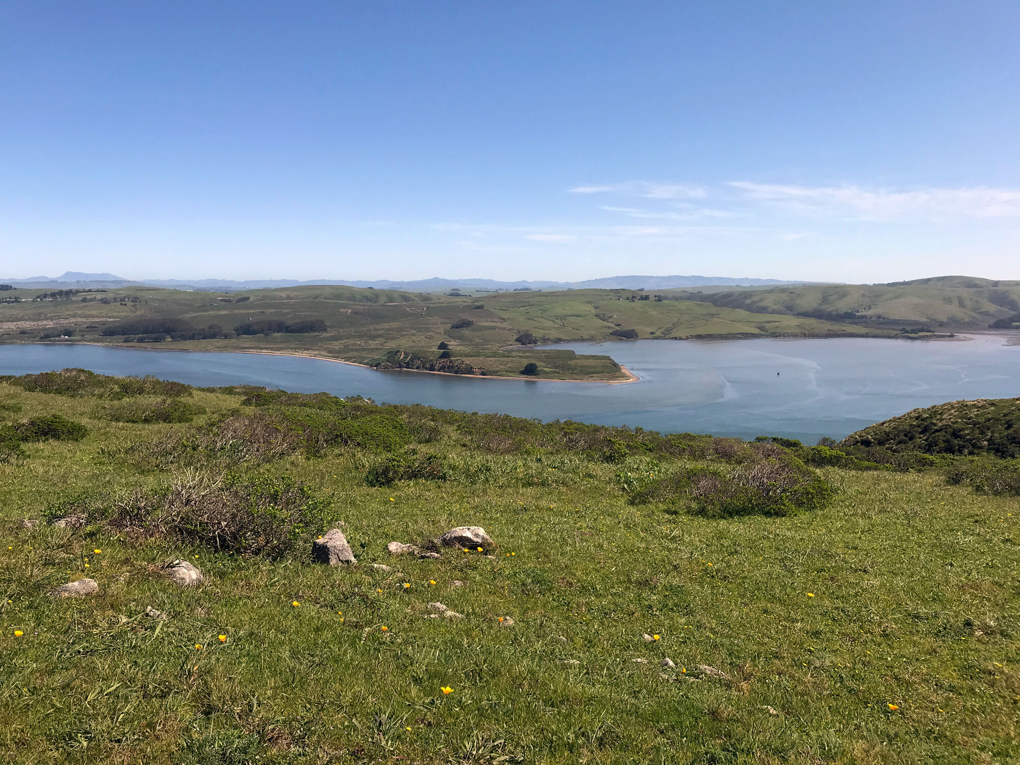 view of Tomales Bay at the ocean end