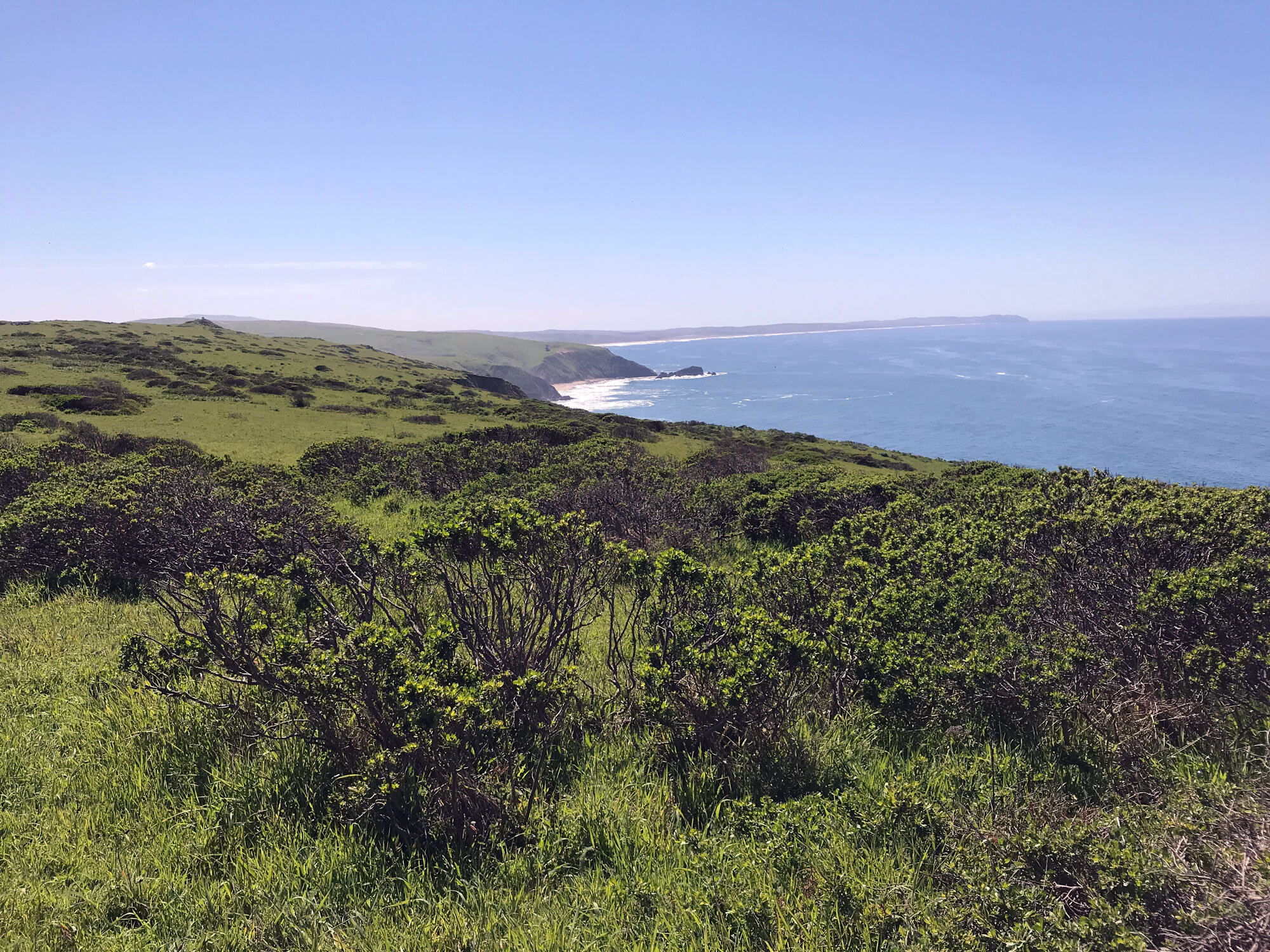 view with McClures Beach in the distance