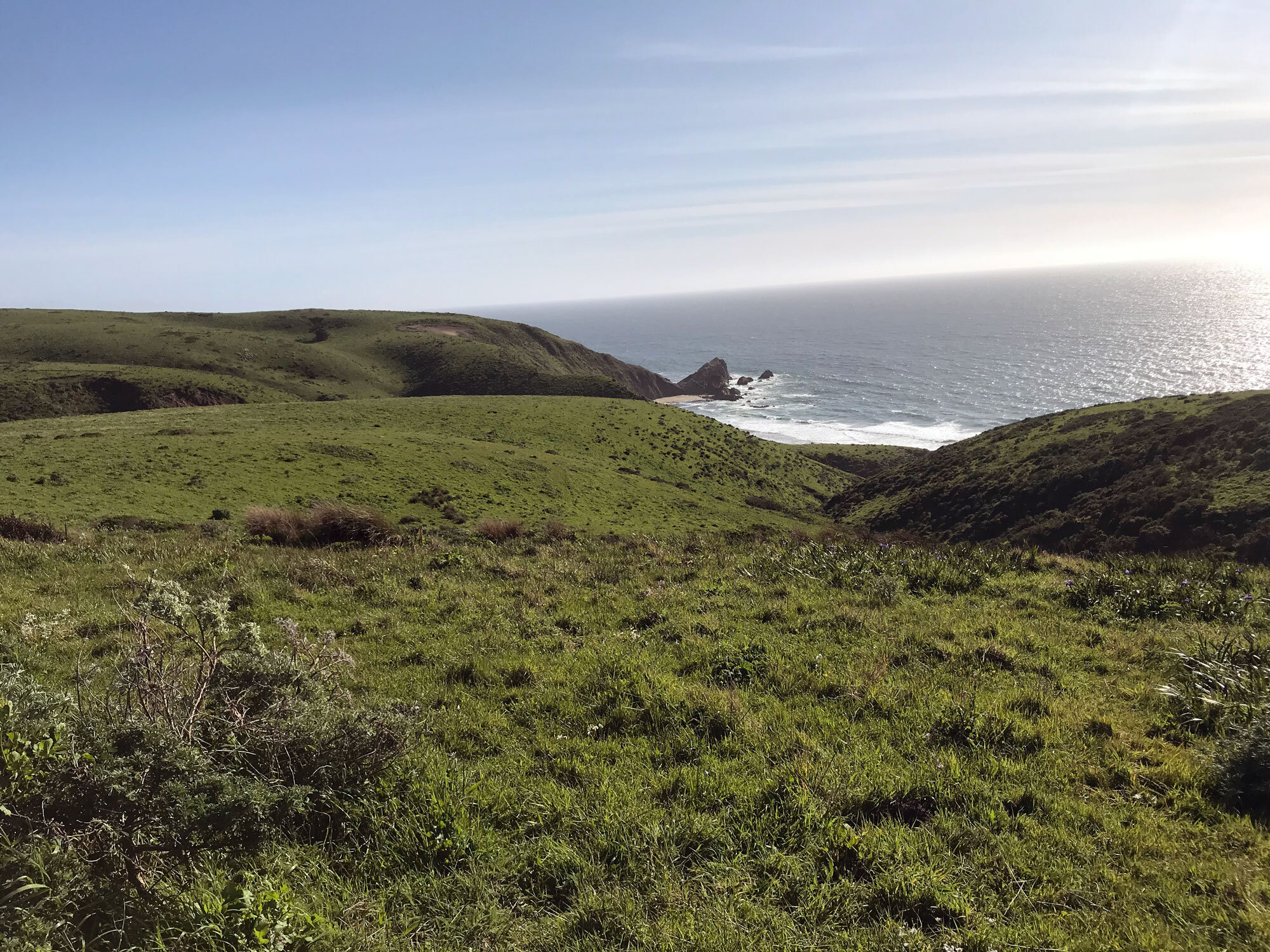 McClures Beach in the distance