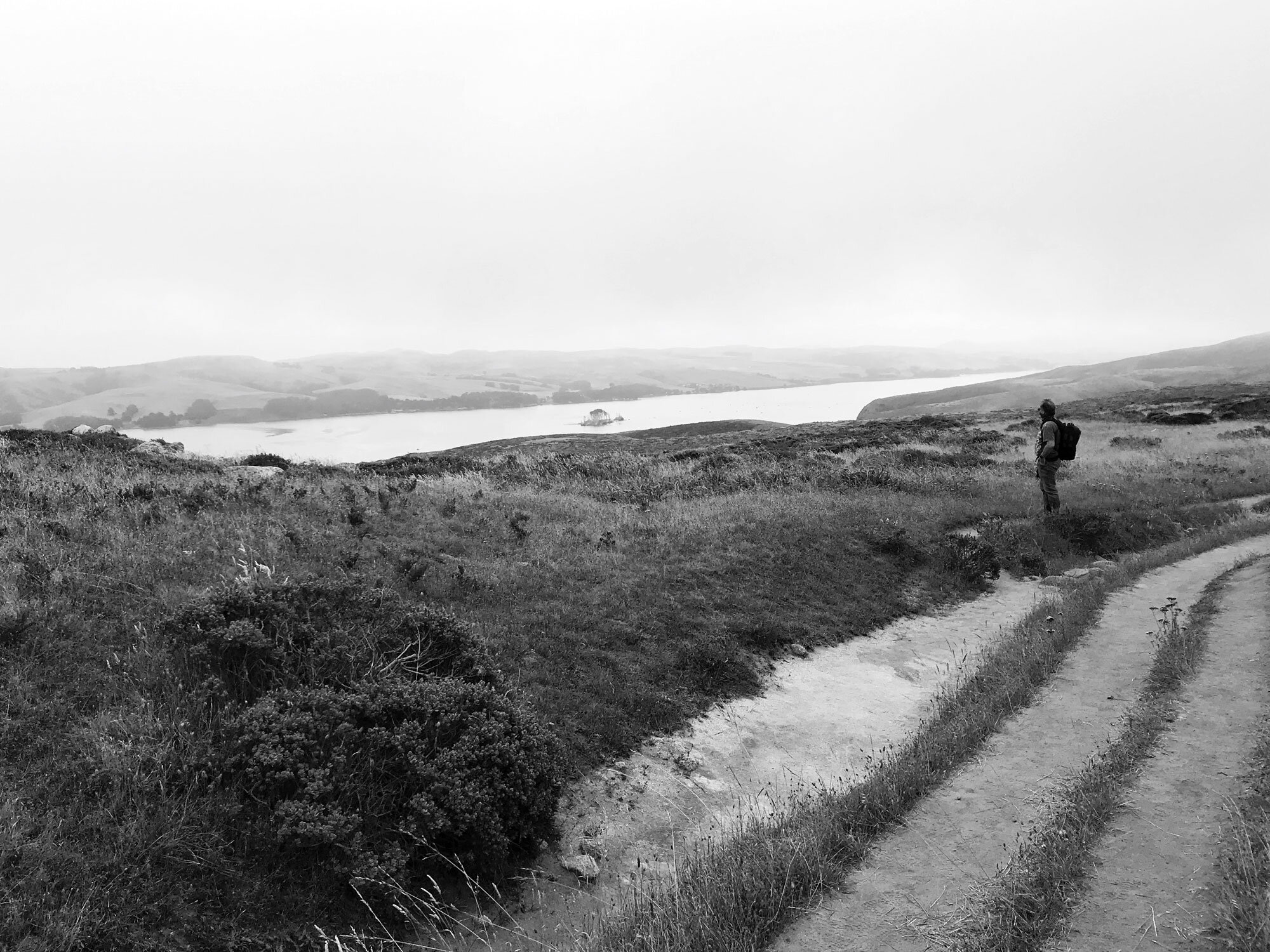 view toward Tomales Bay