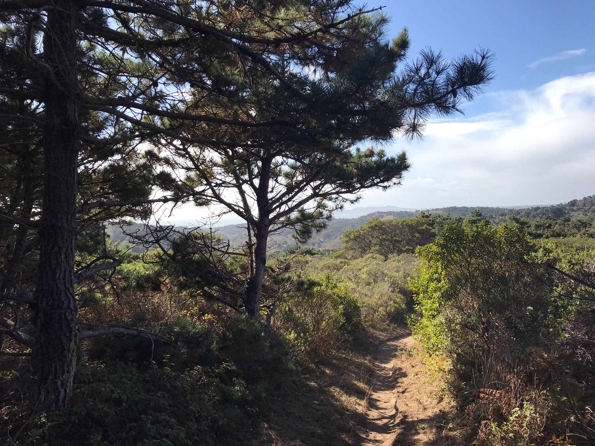 Bayview Trail