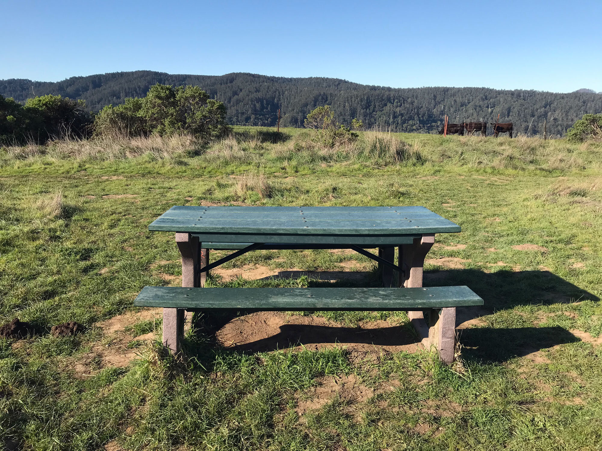 first picnic table