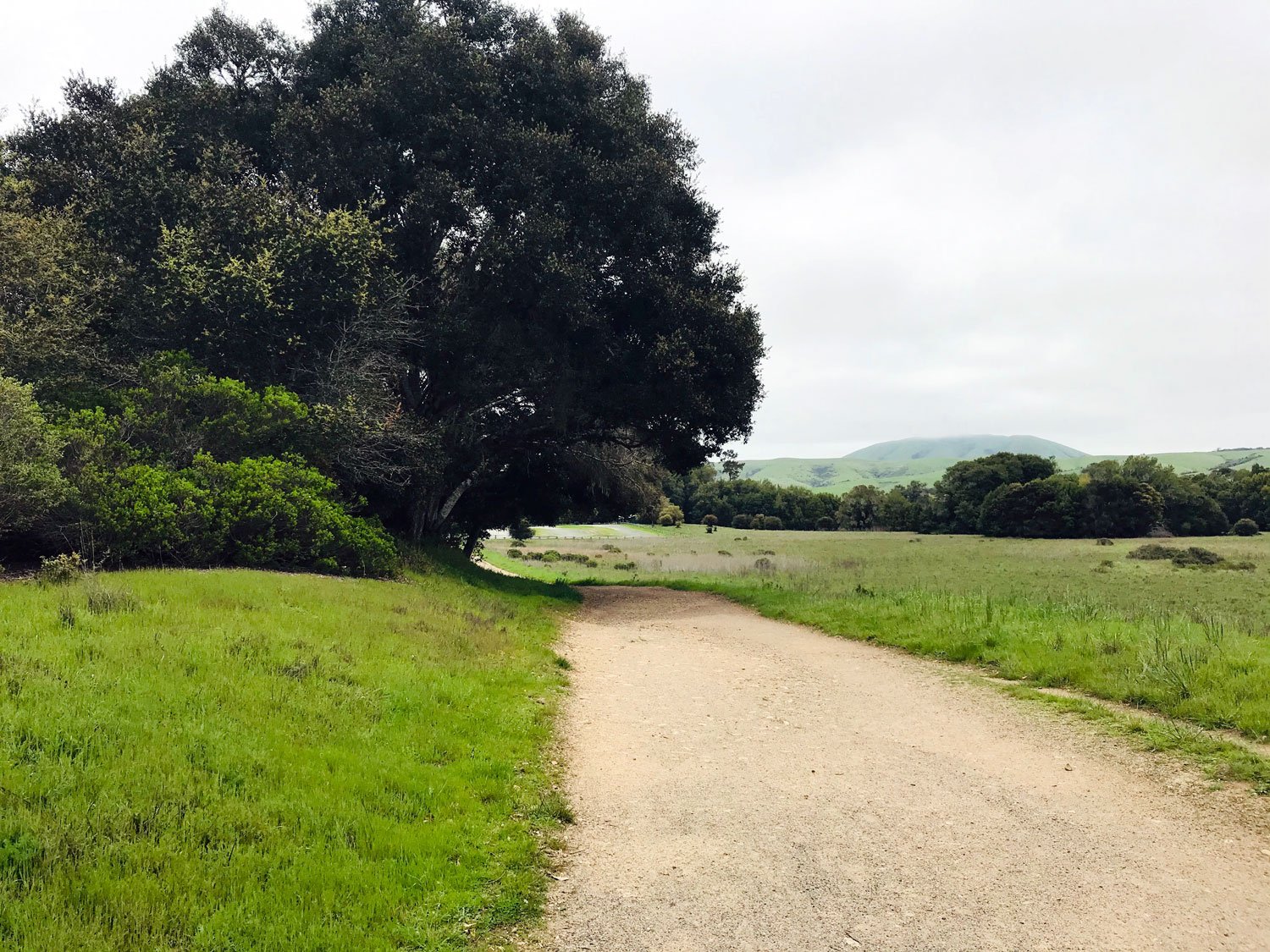 Bear Valley: beginning of the trail