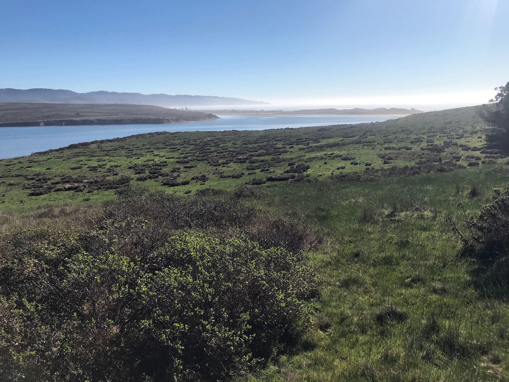 Drakes Head Trail: view to Limantour Estero and ocean